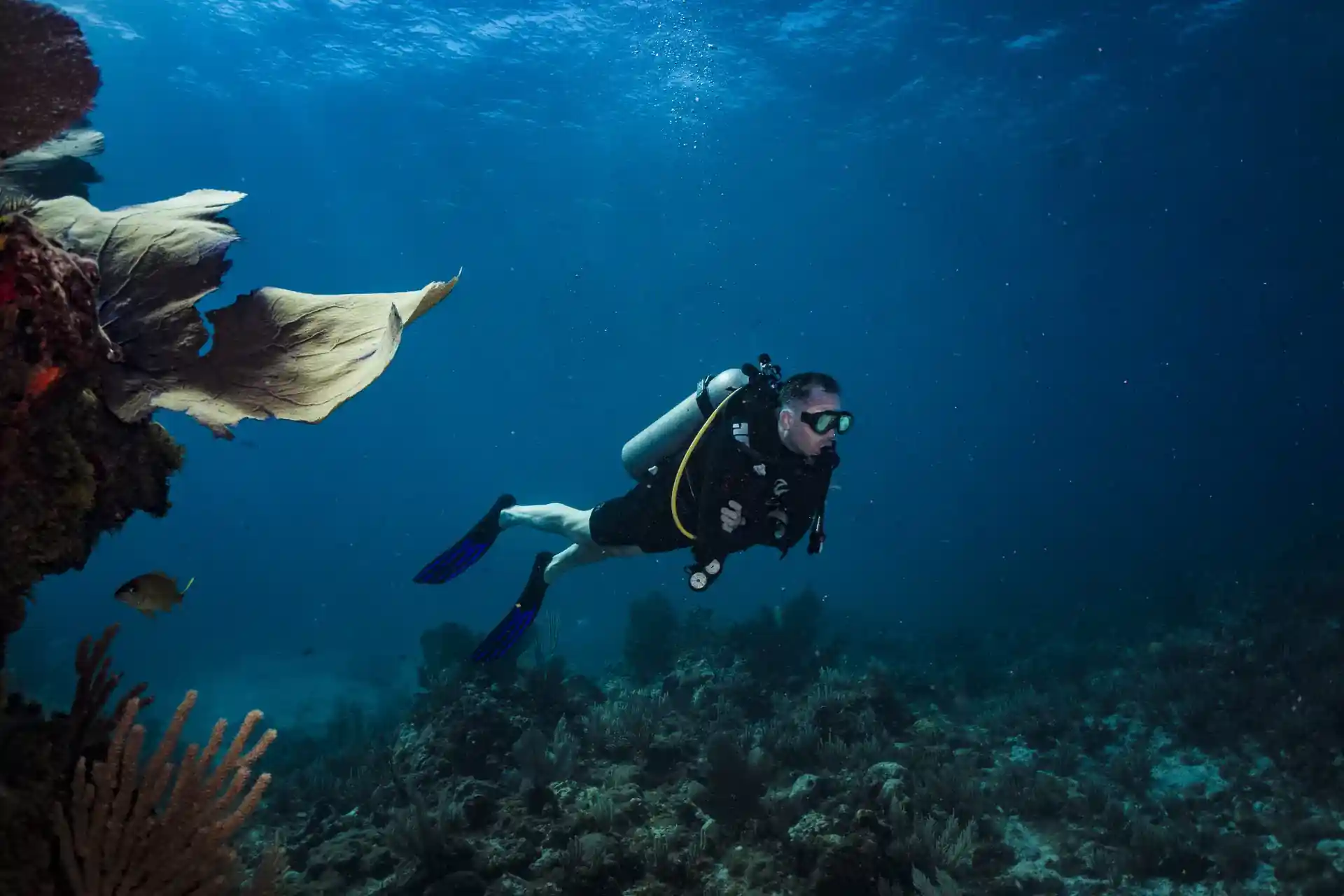 Dive site photo