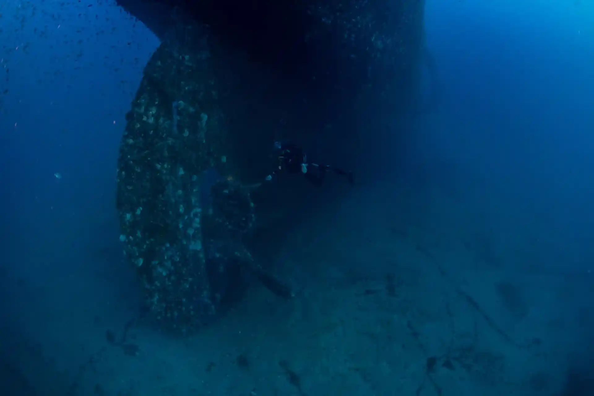 Photo du site de plongée