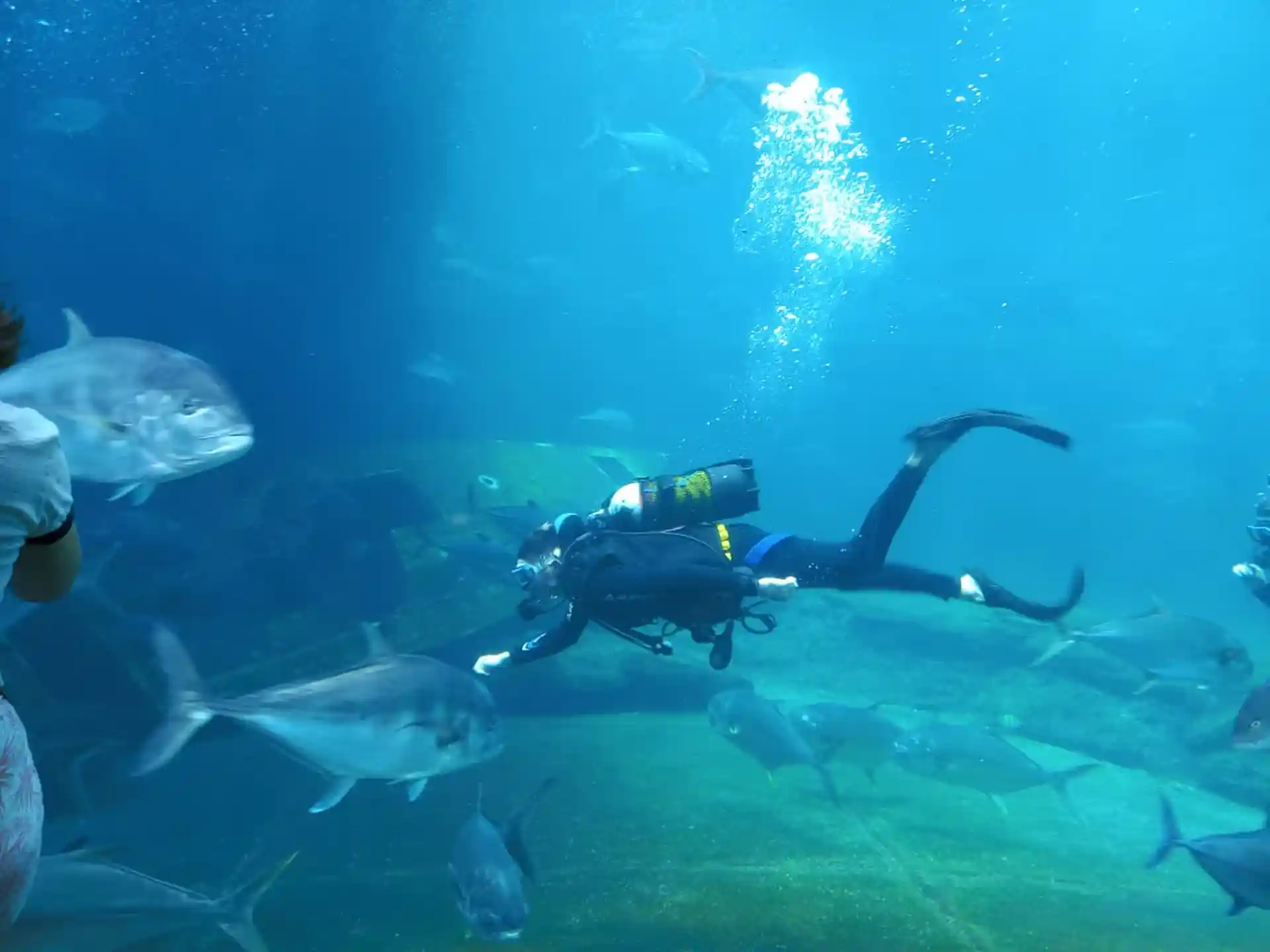 Dive shop photo