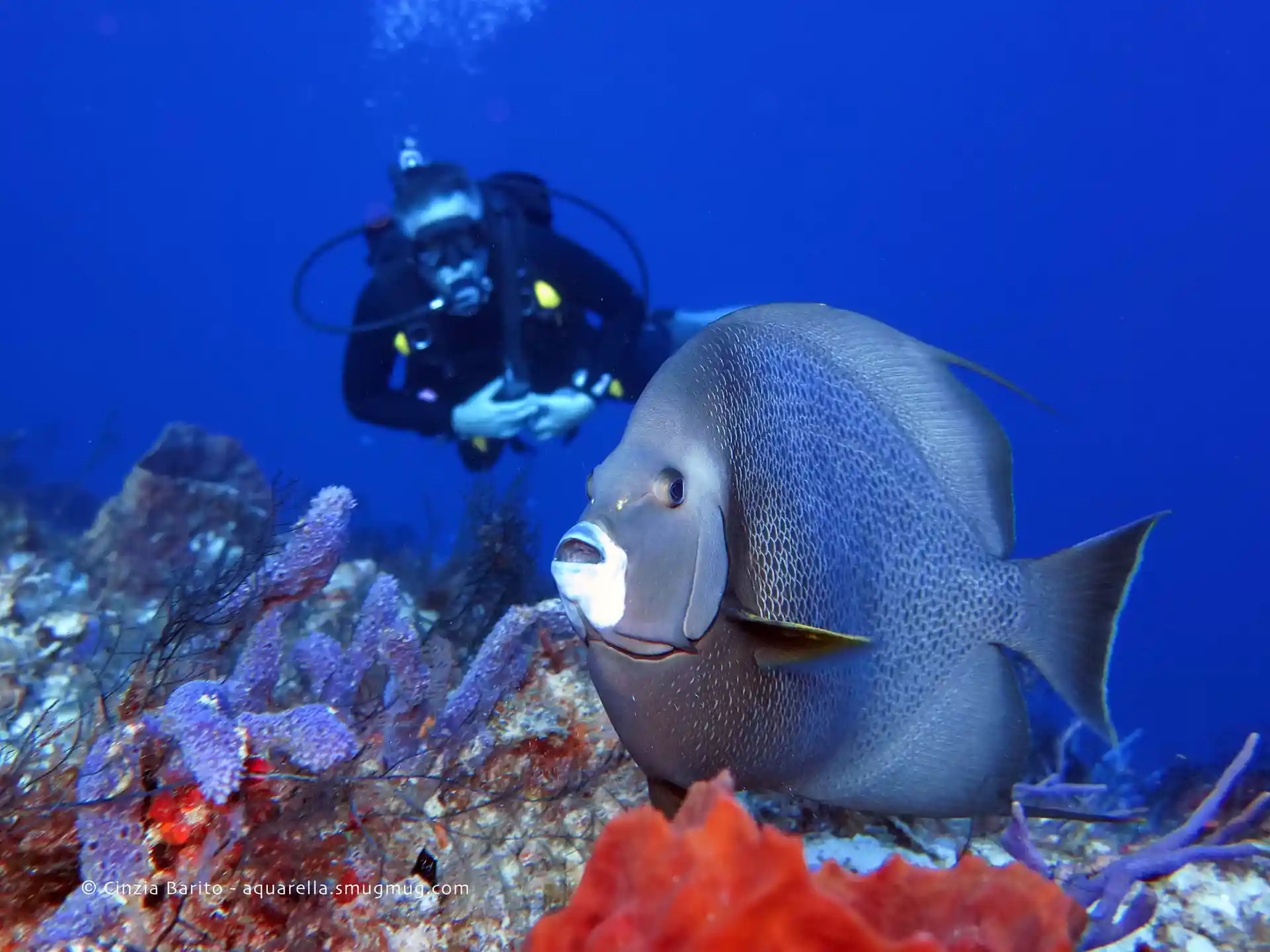 Dive shop photo
