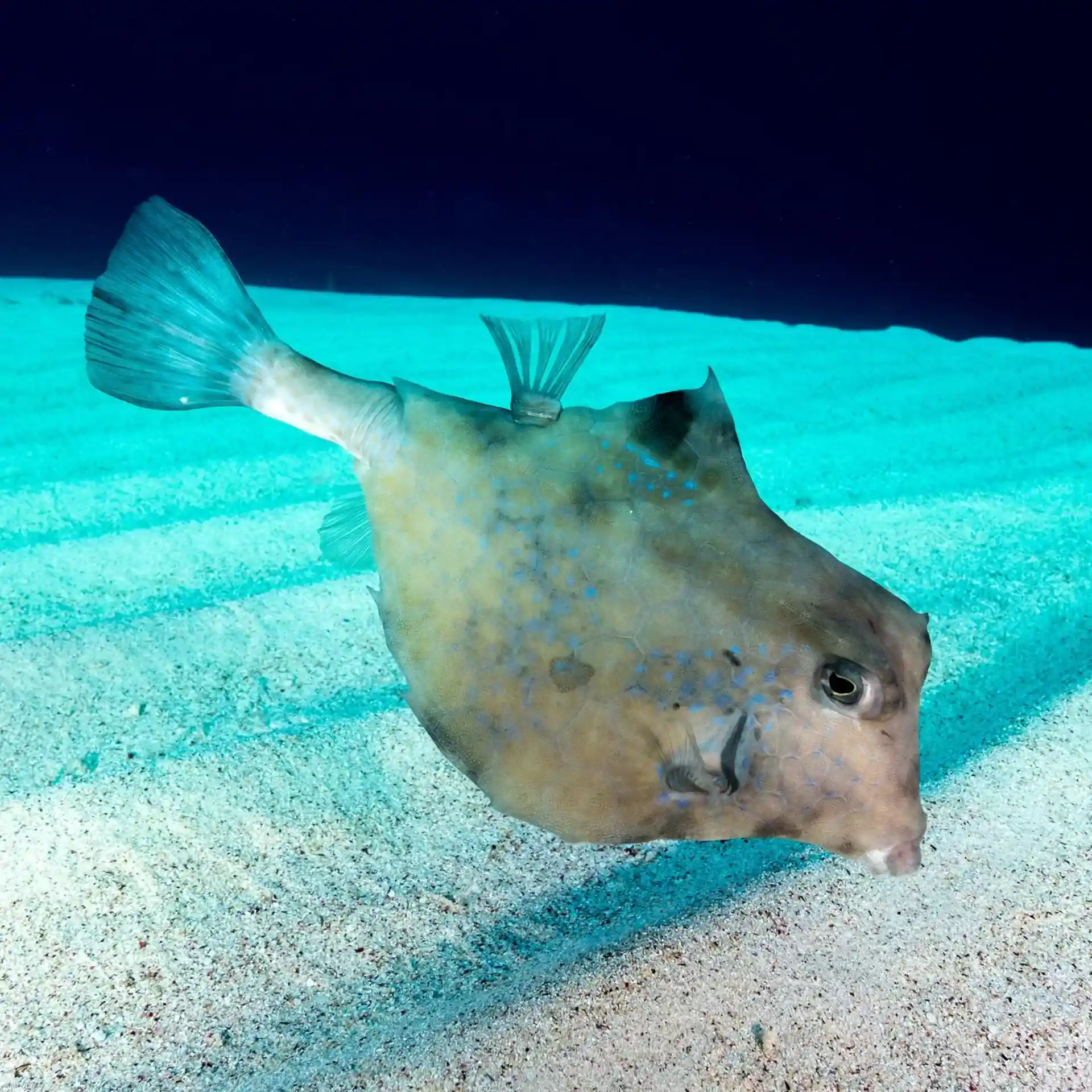 다이빙 포인트 사진