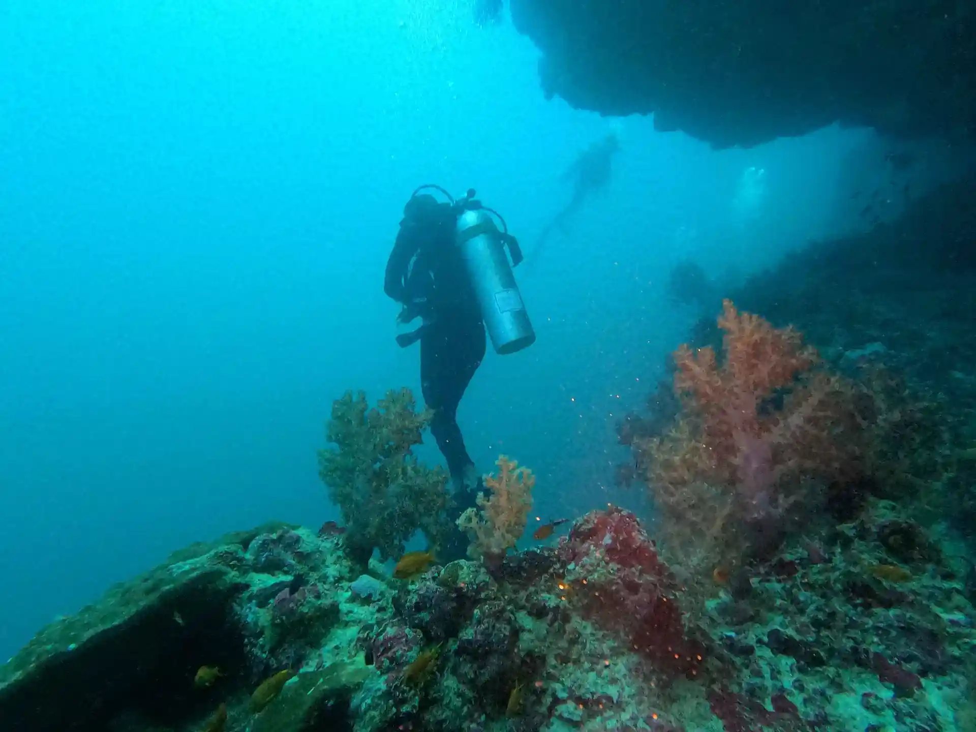 다이빙 포인트 사진