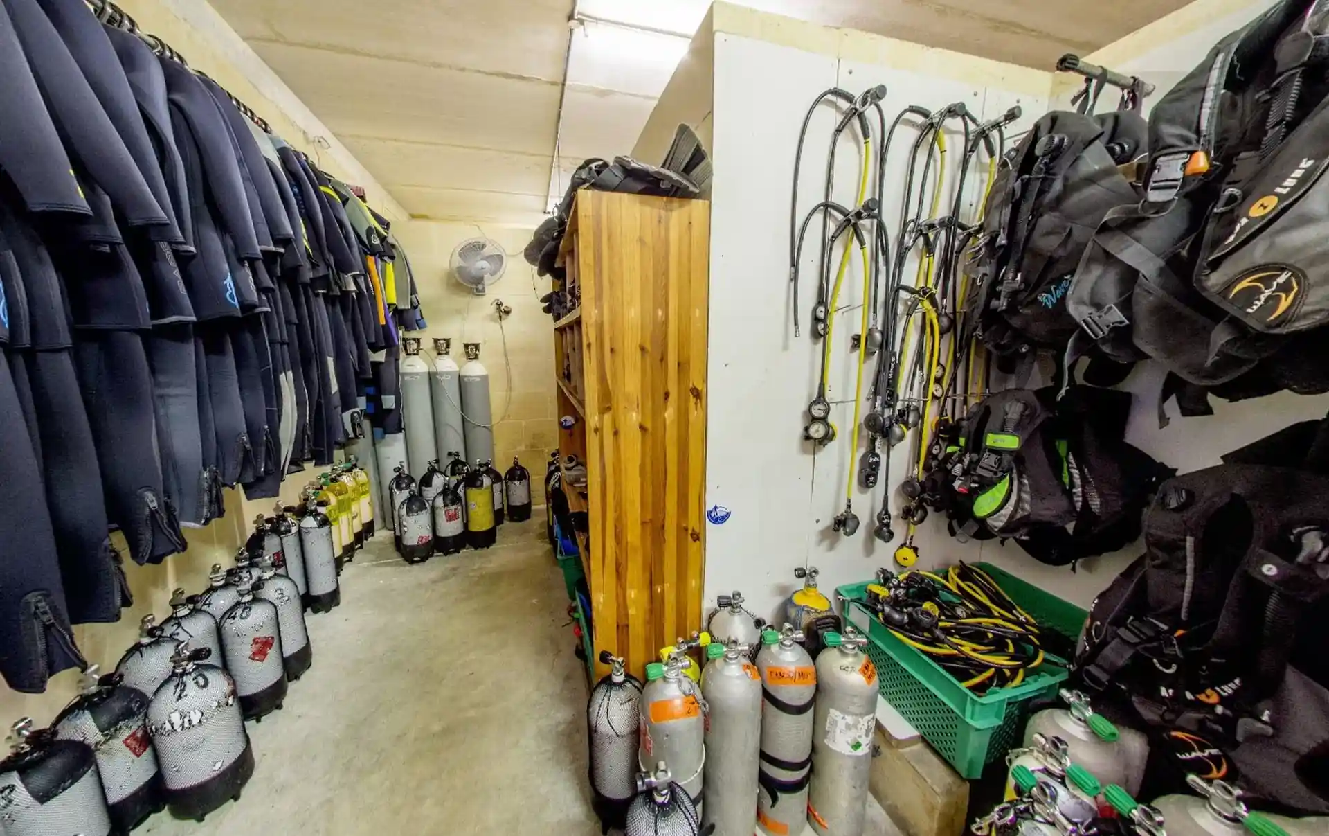 Foto de la actividad