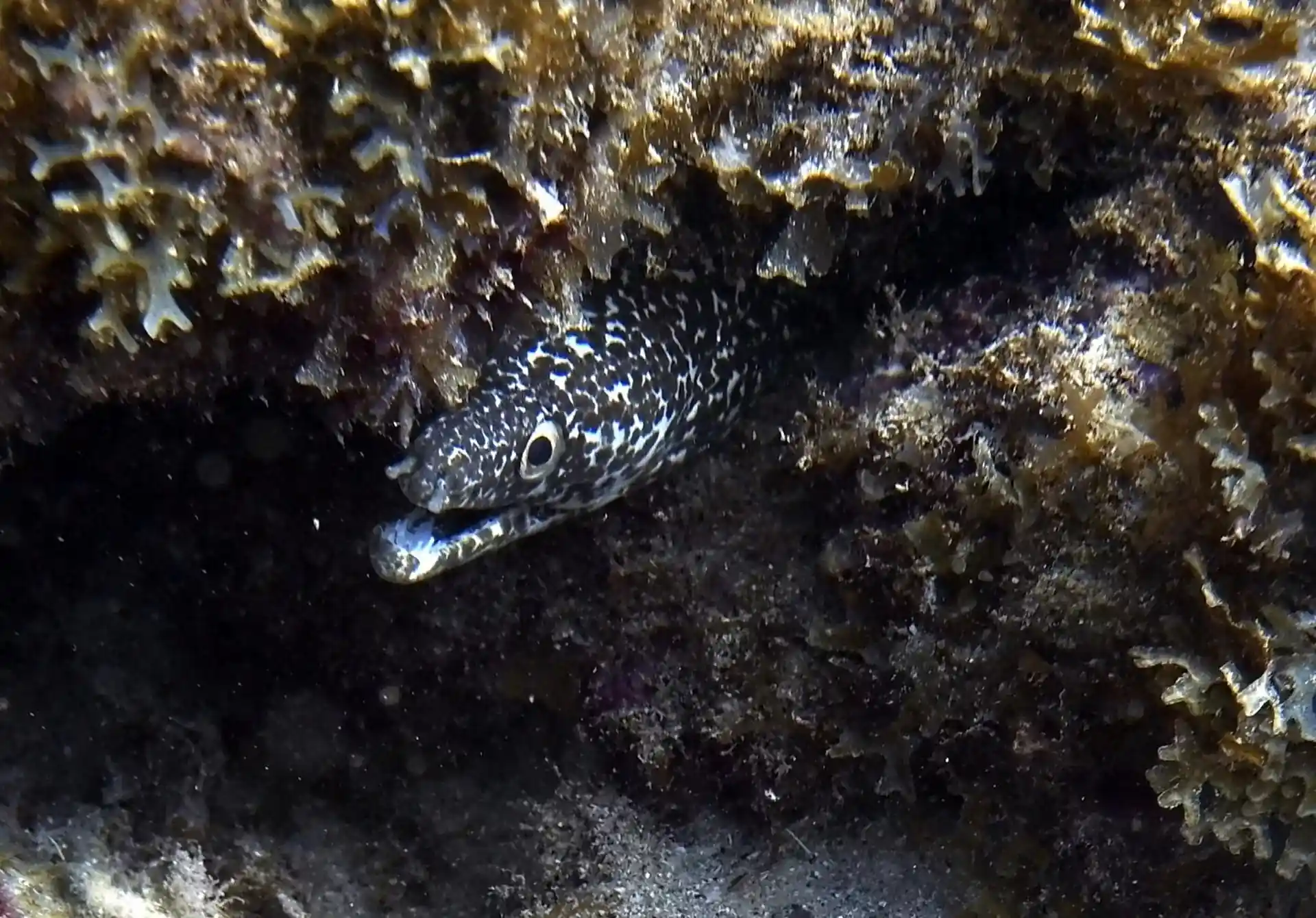 Dive shop photo