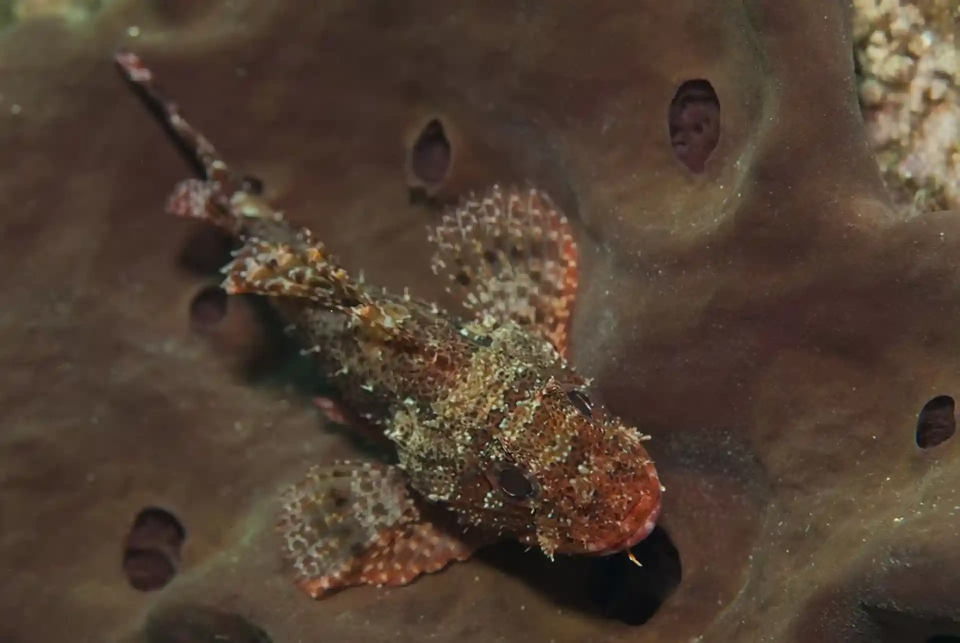 Dive site photo
