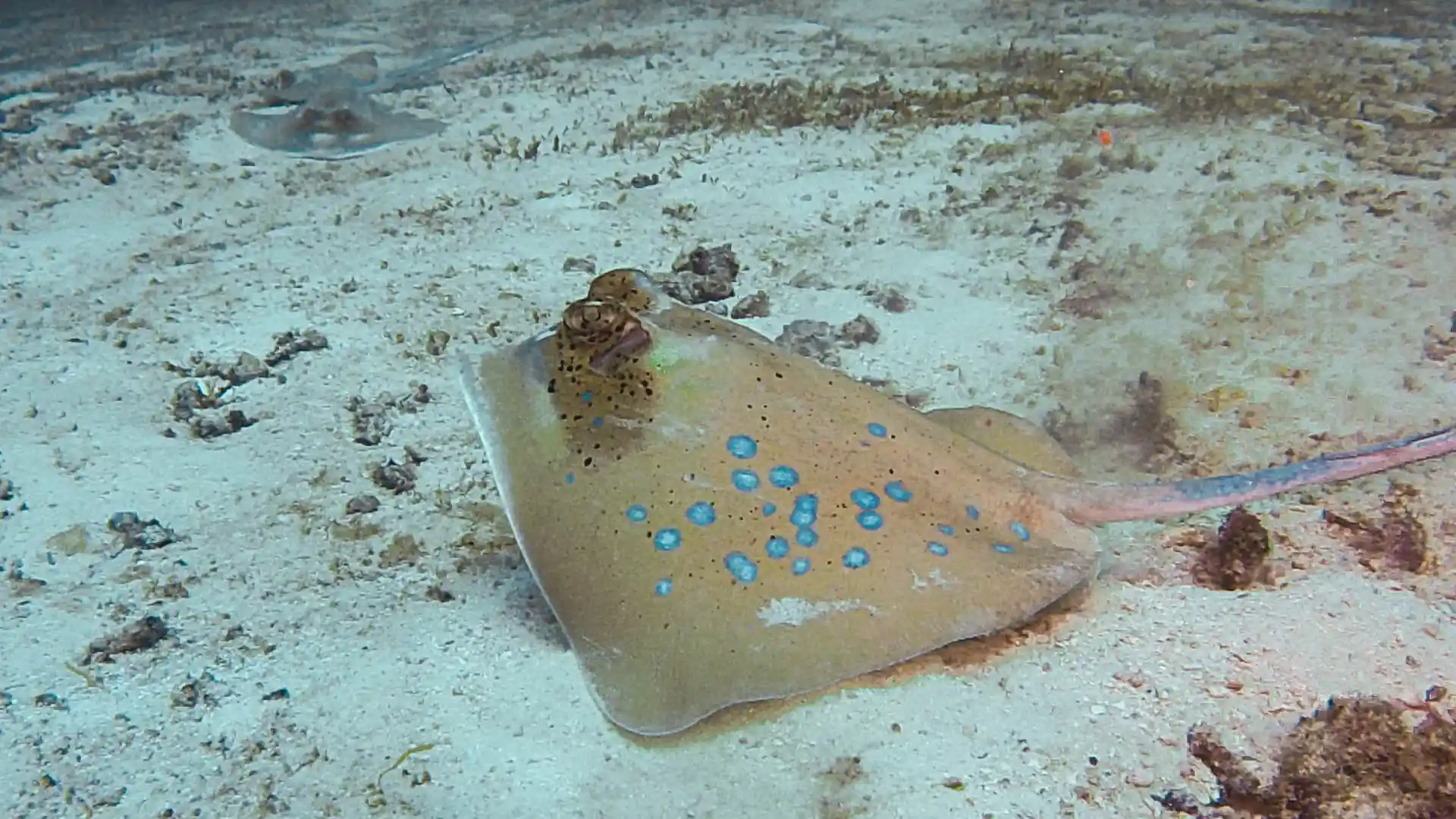 ダイビングサイトの写真