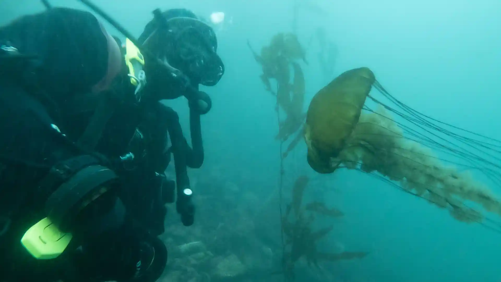 Dive site photo