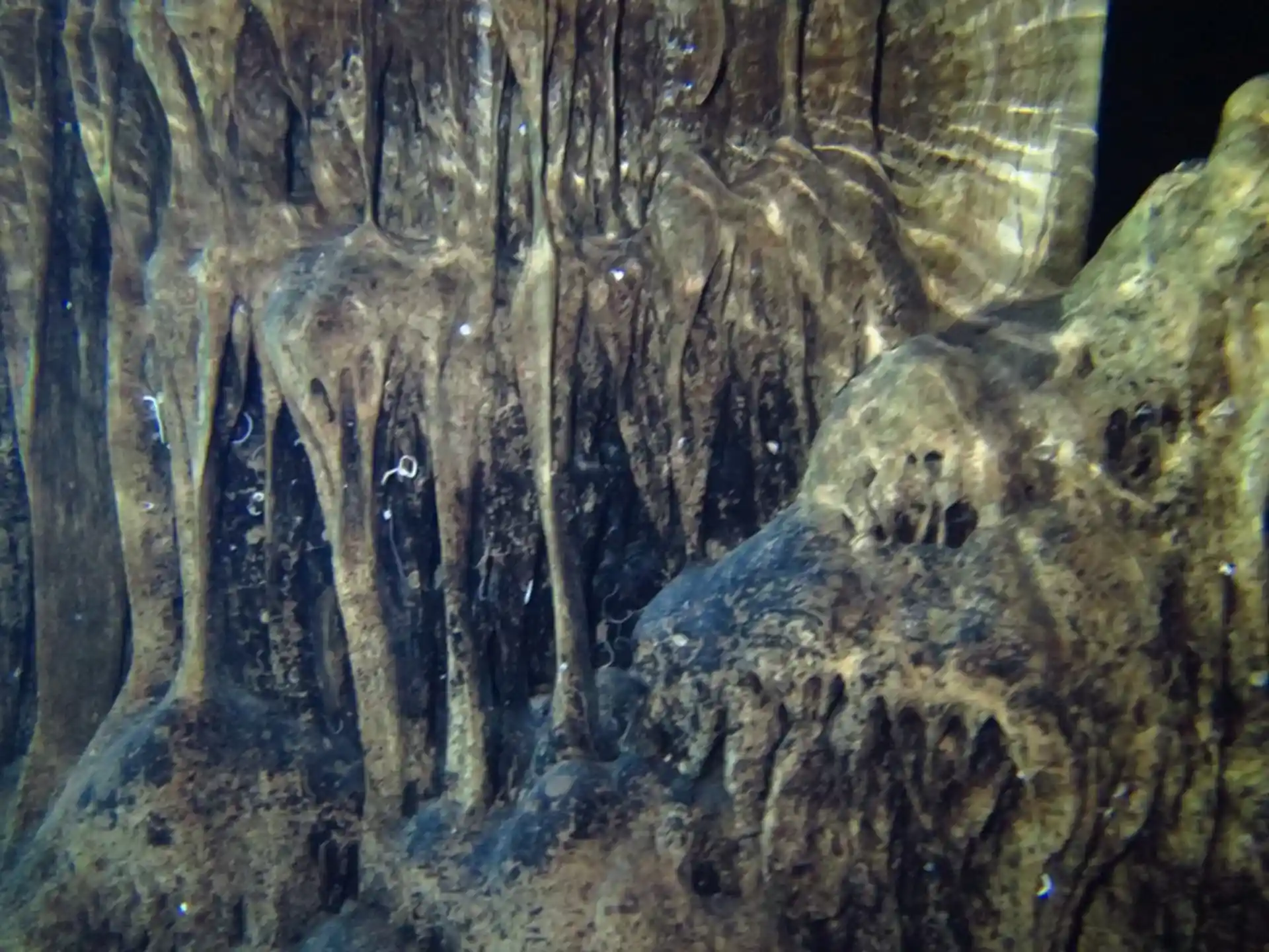 Dive site photo