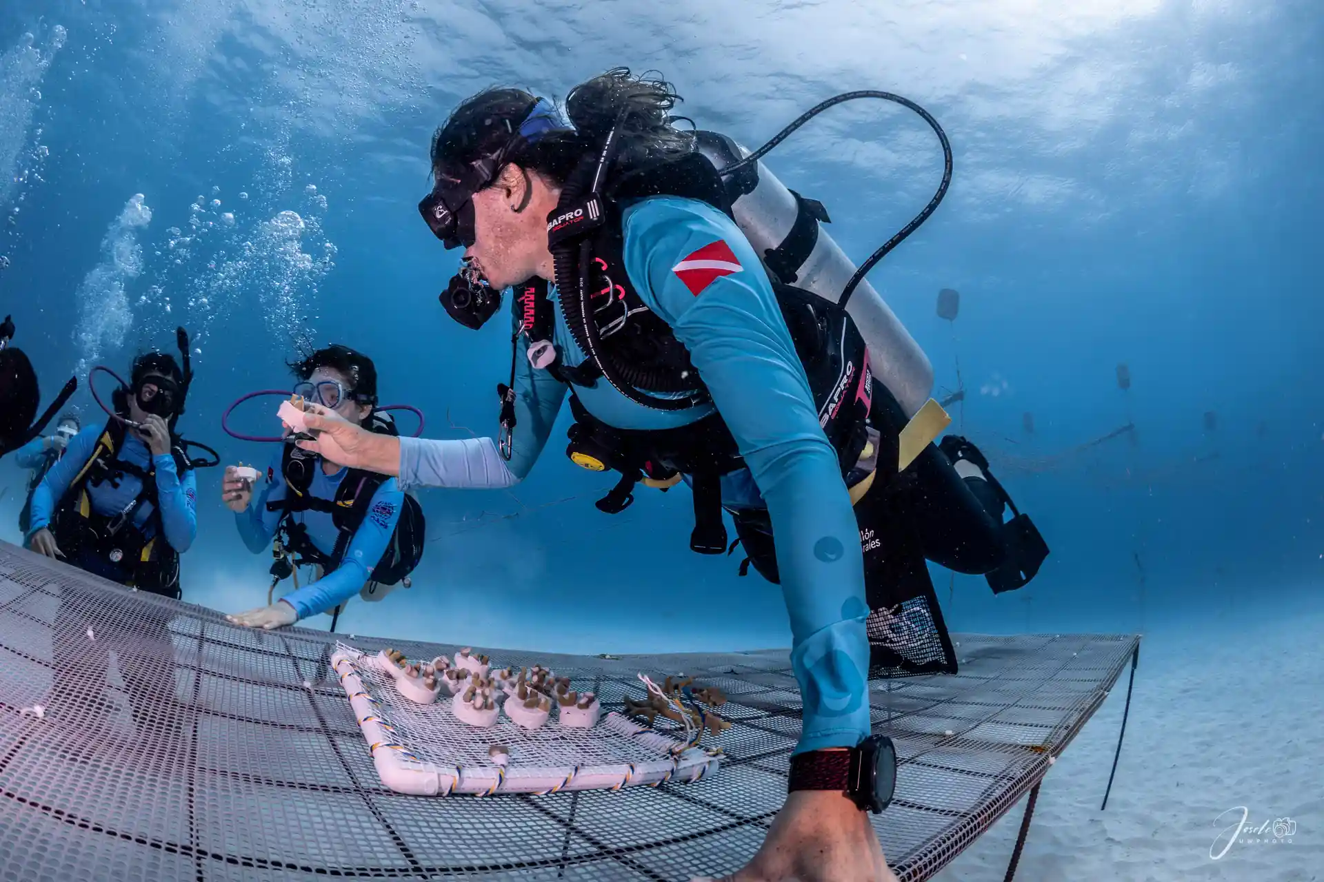 Support coral reef restoration in San Andrés Island and directly assist marine biologists in giving these vital ecosystems a second chance.