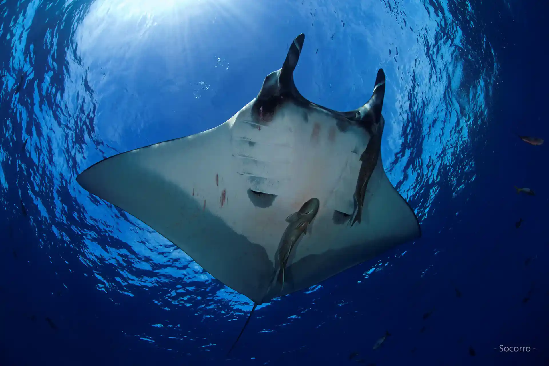 Dive shop photo