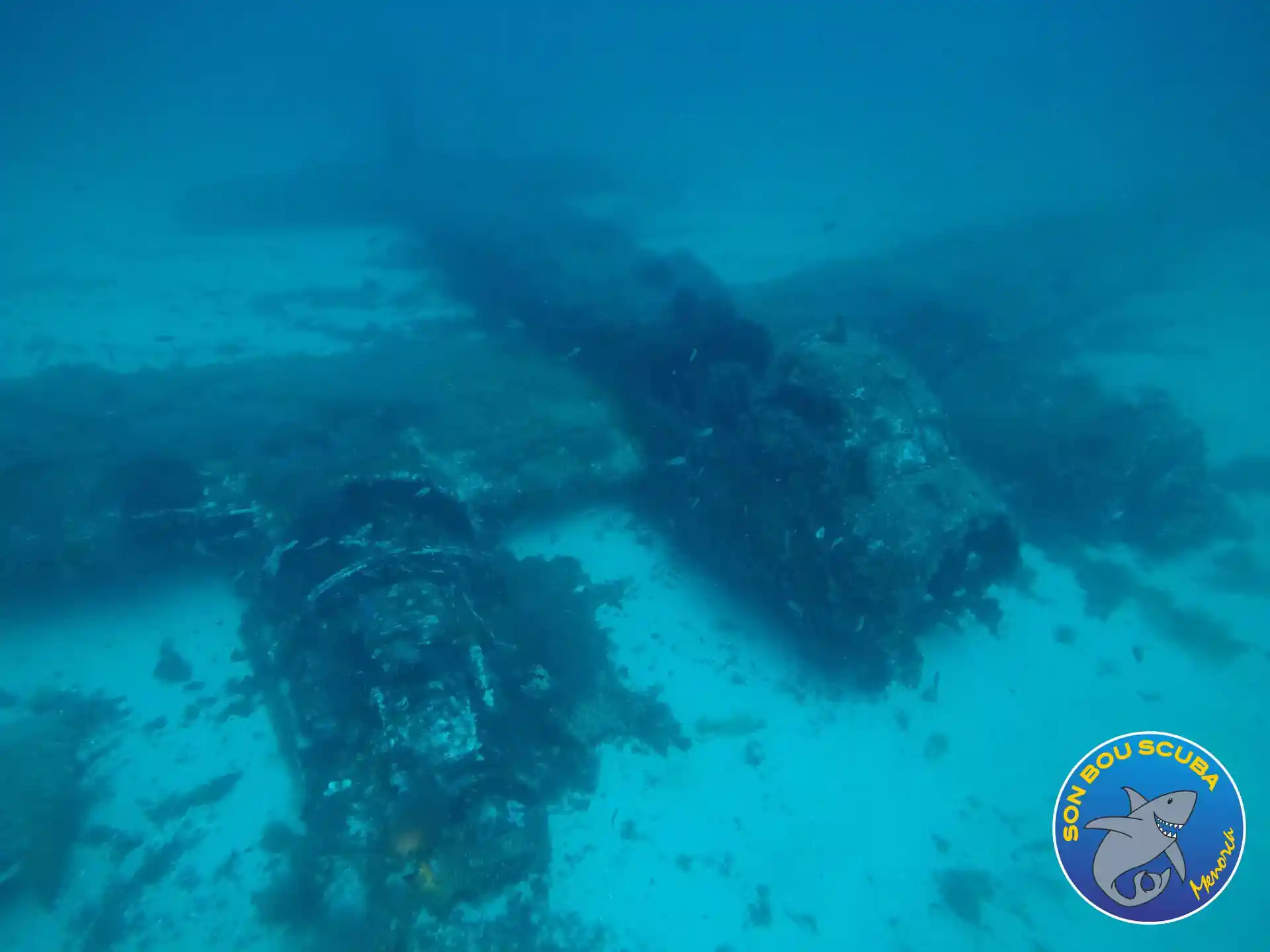 Dive site photo