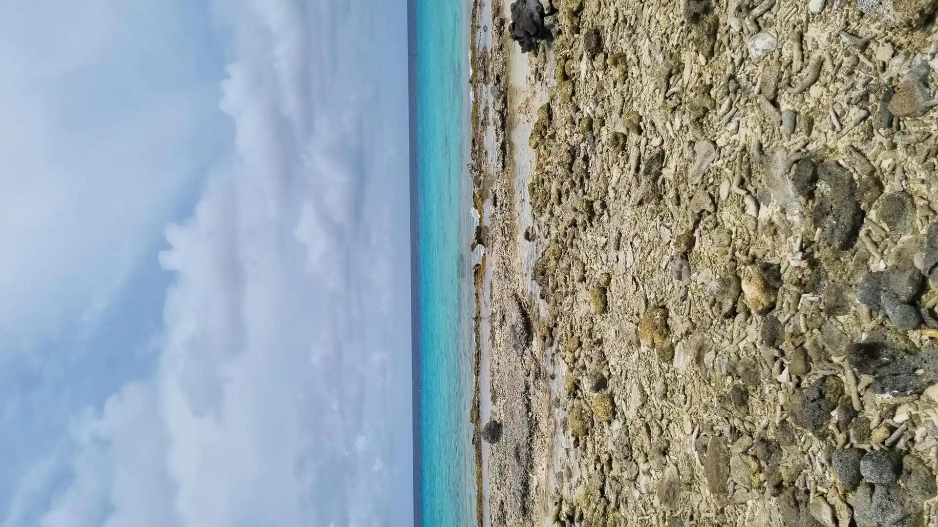 Dive site photo