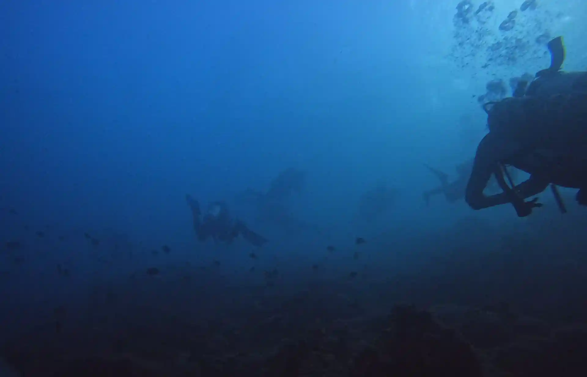 Dive site photo