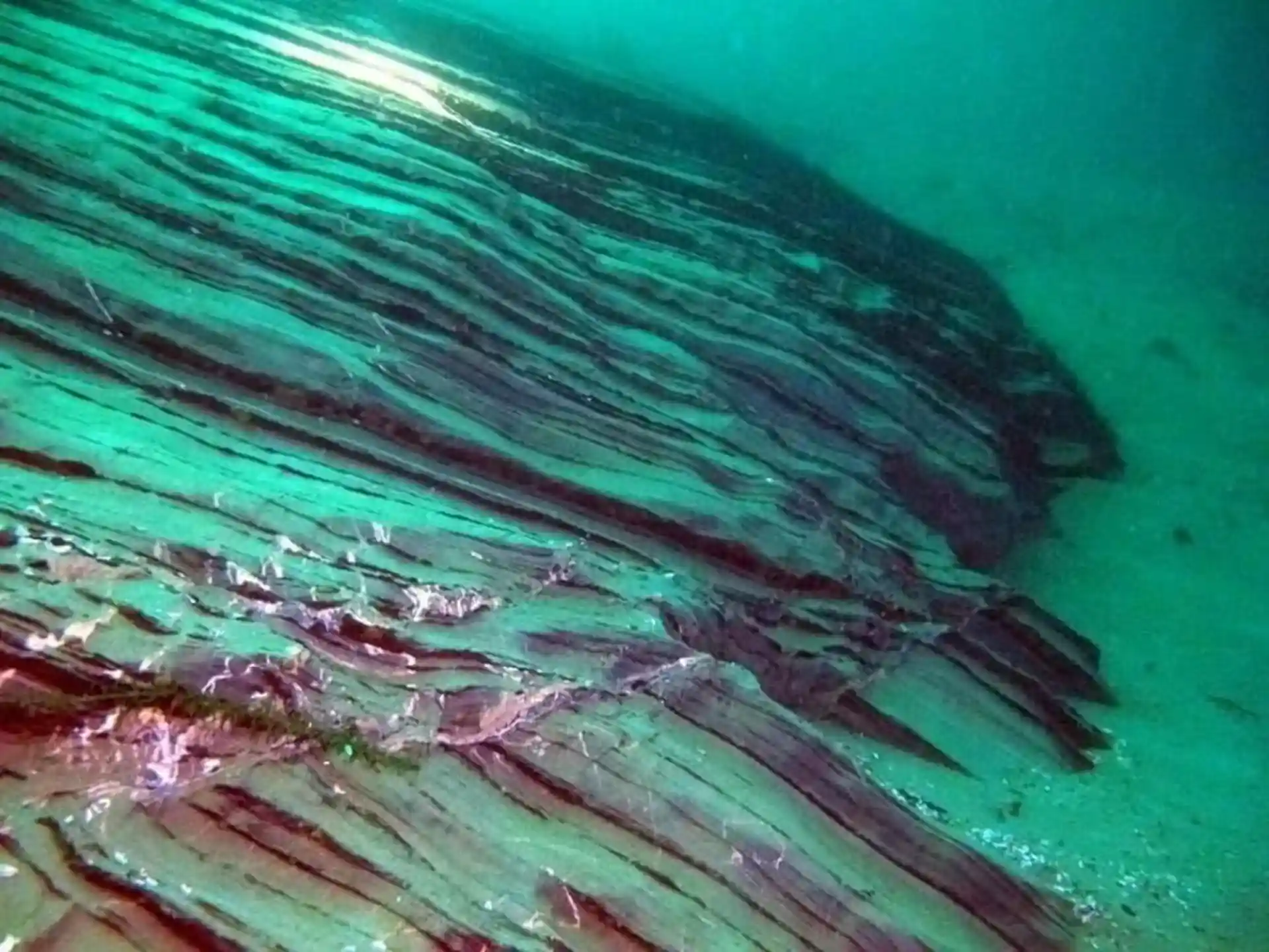 Foto del sitio de buceo