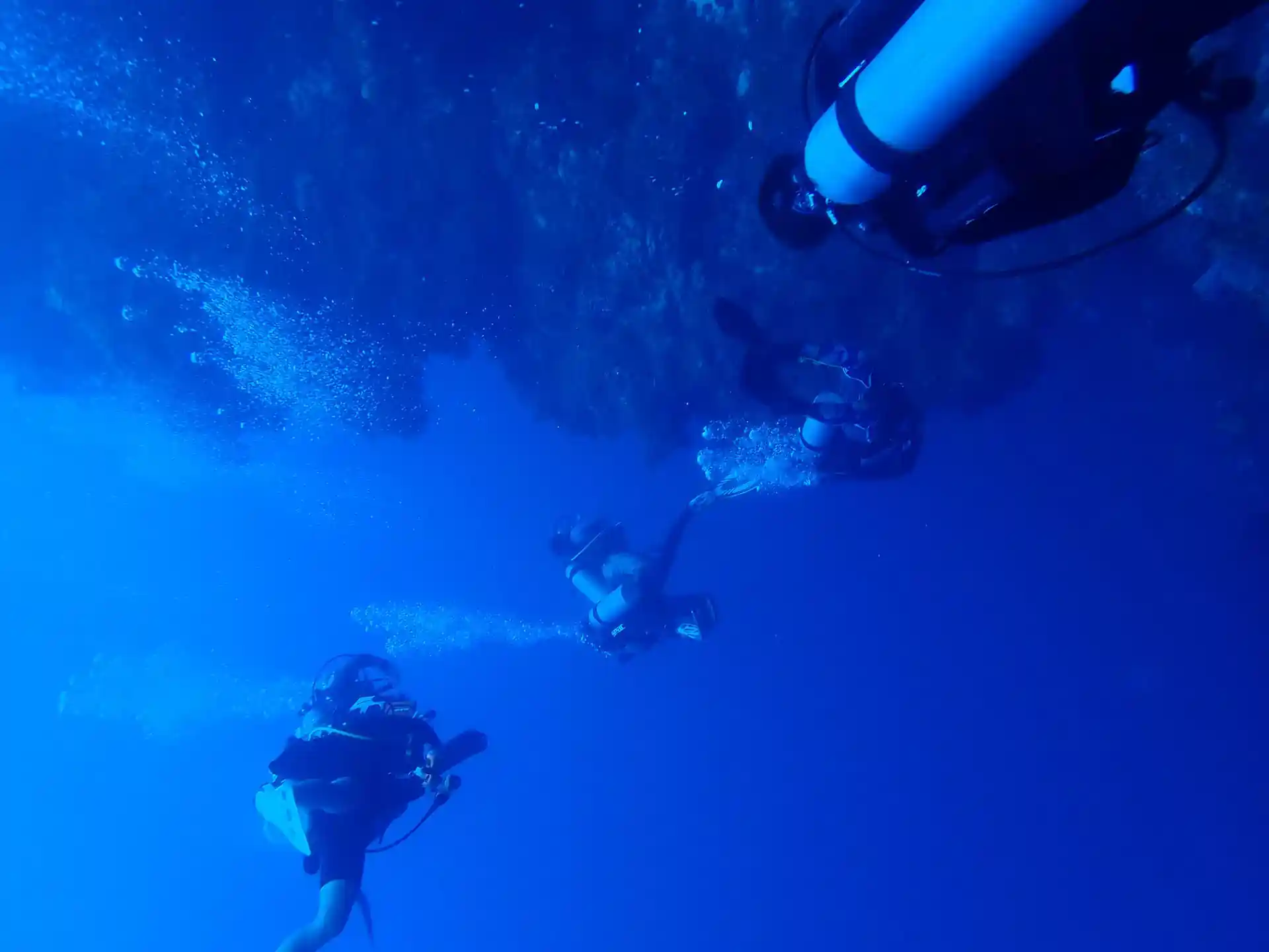 Dive site photo