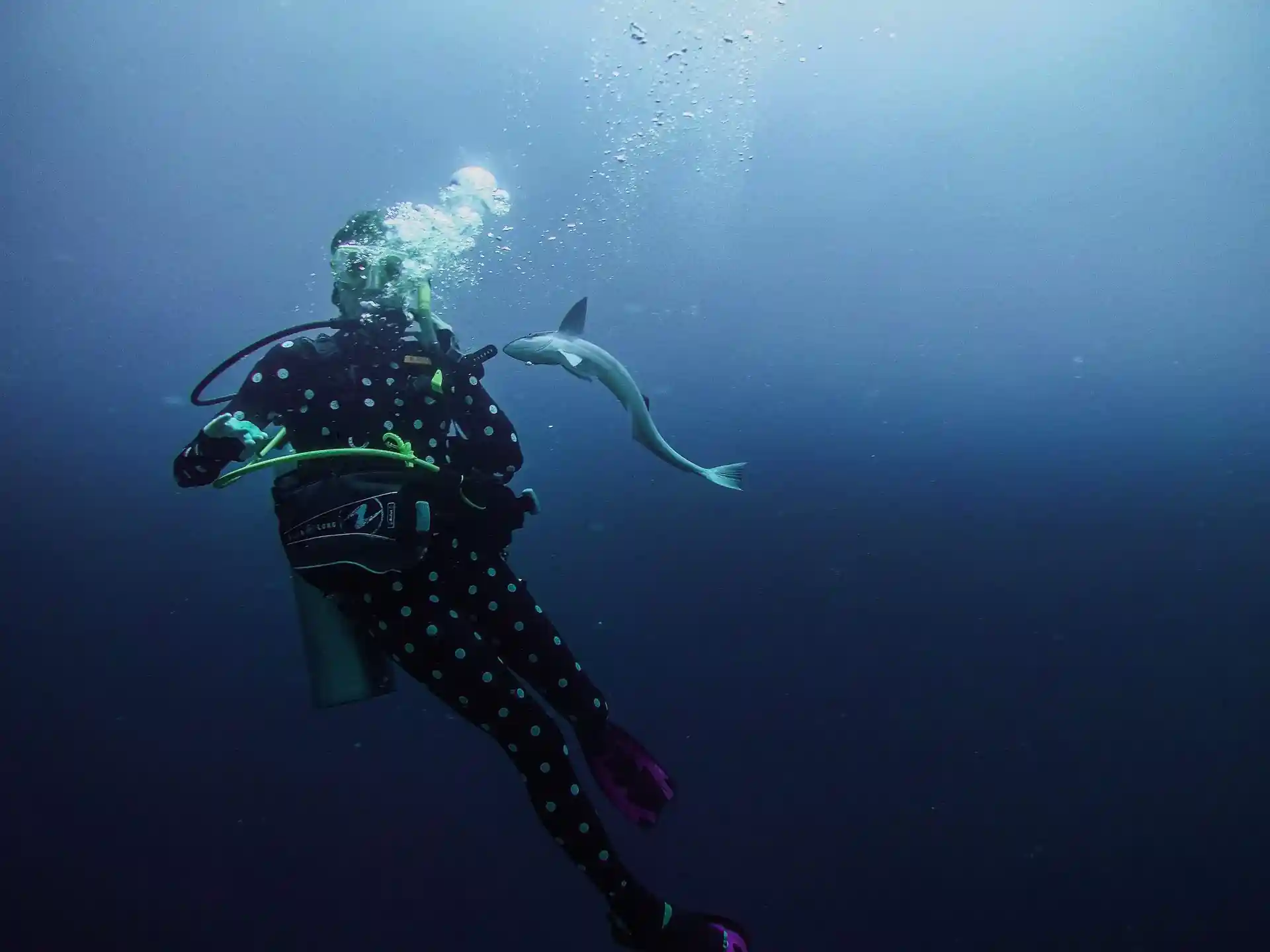 Dive site photo