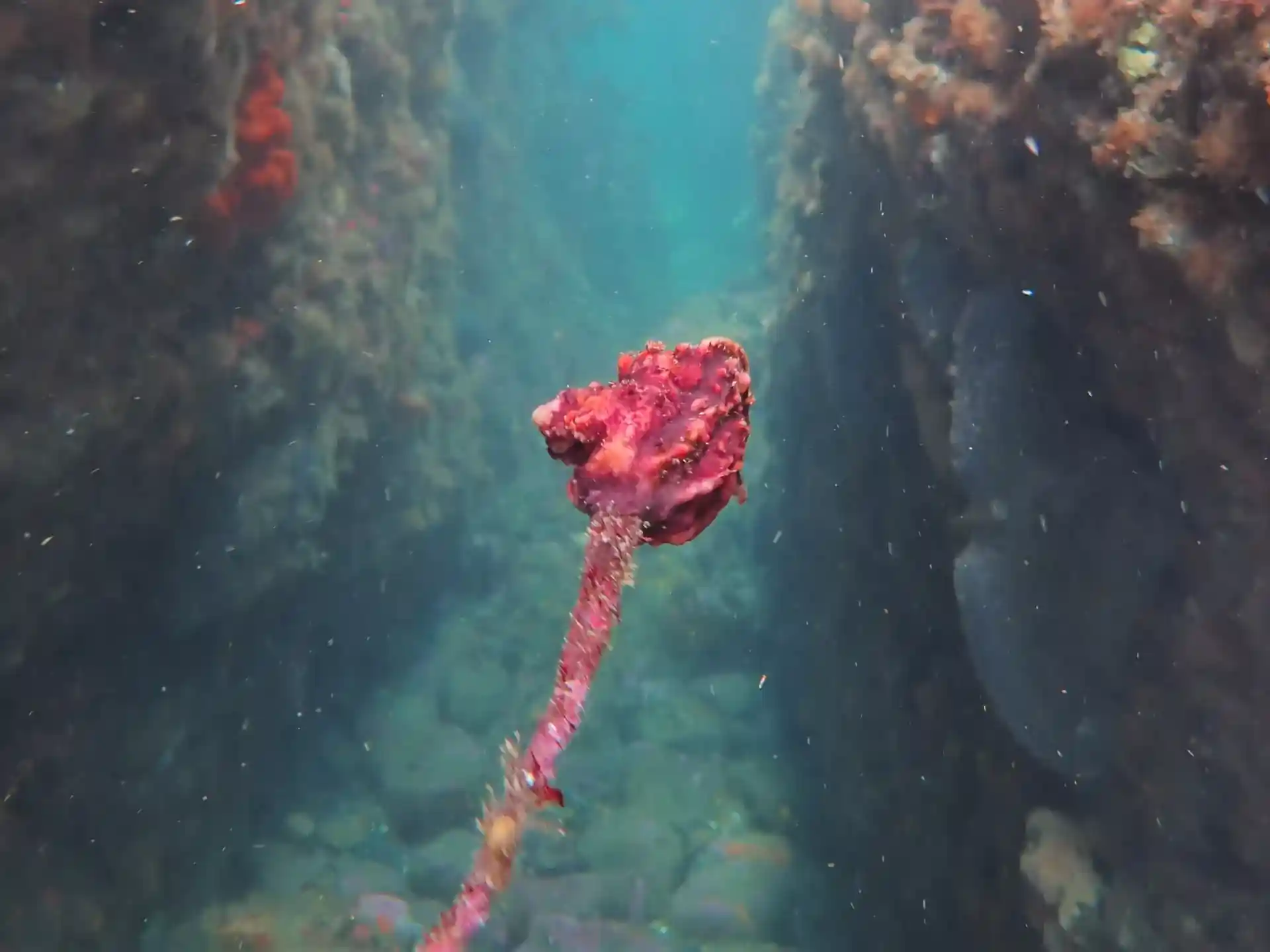 Dive site photo