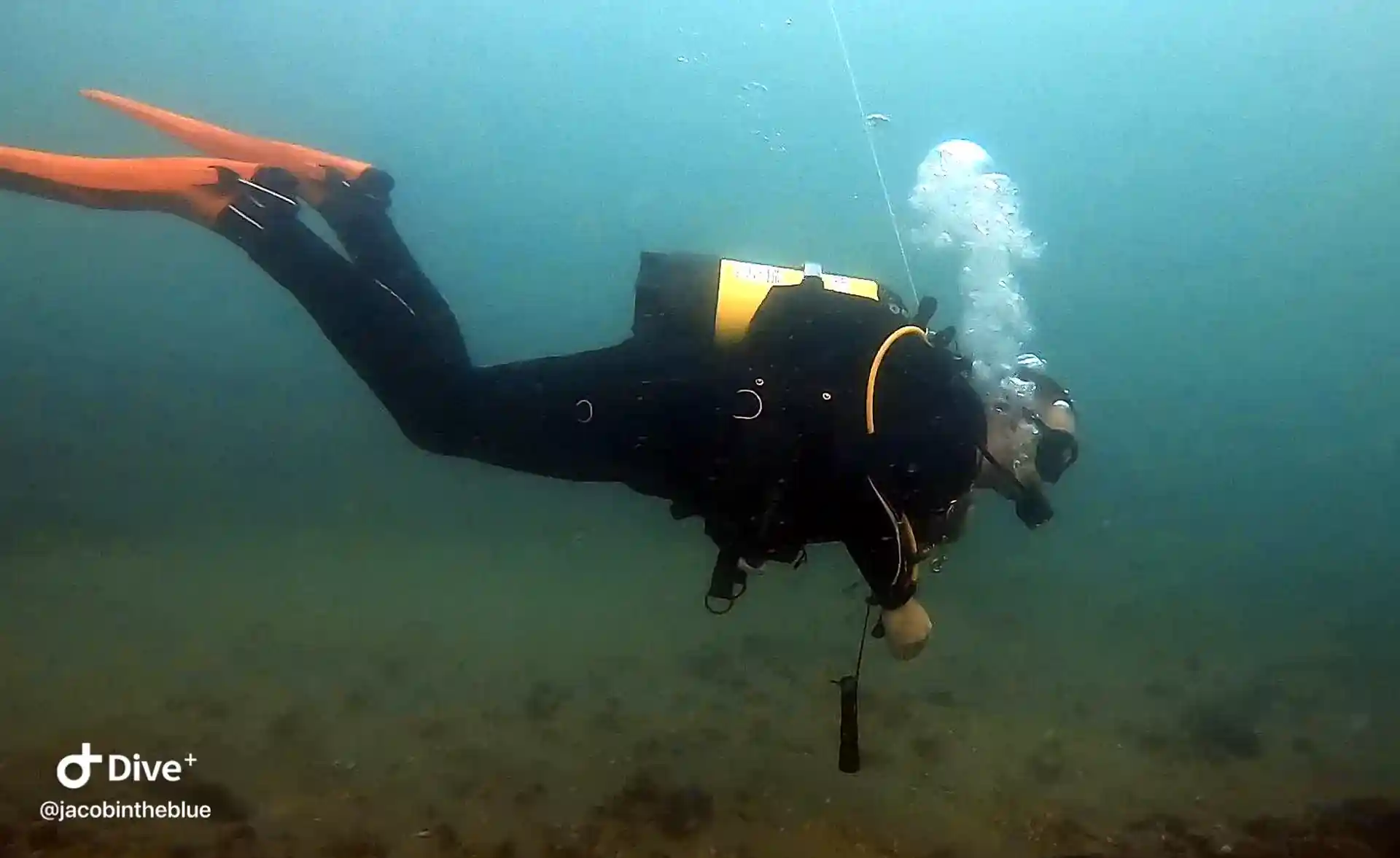 Dive shop photo