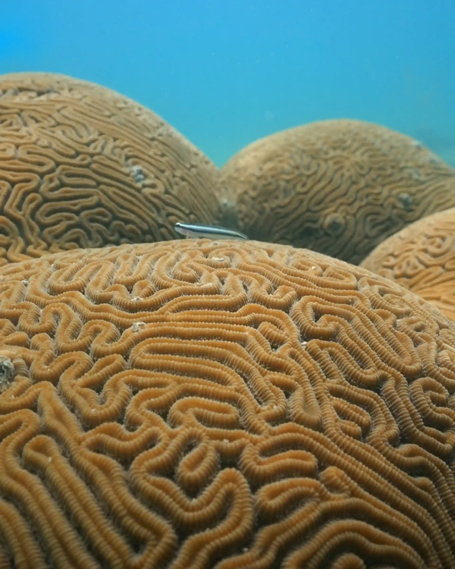 Dive shop photo