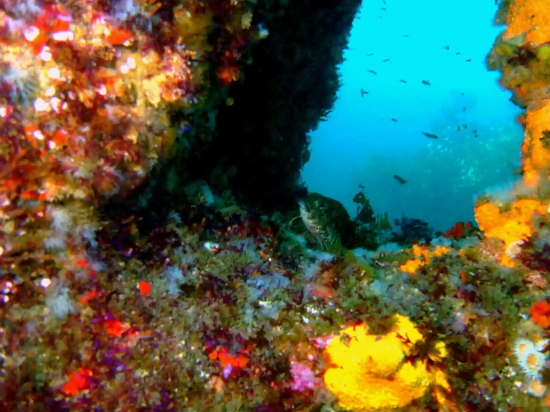 다이빙 포인트 사진