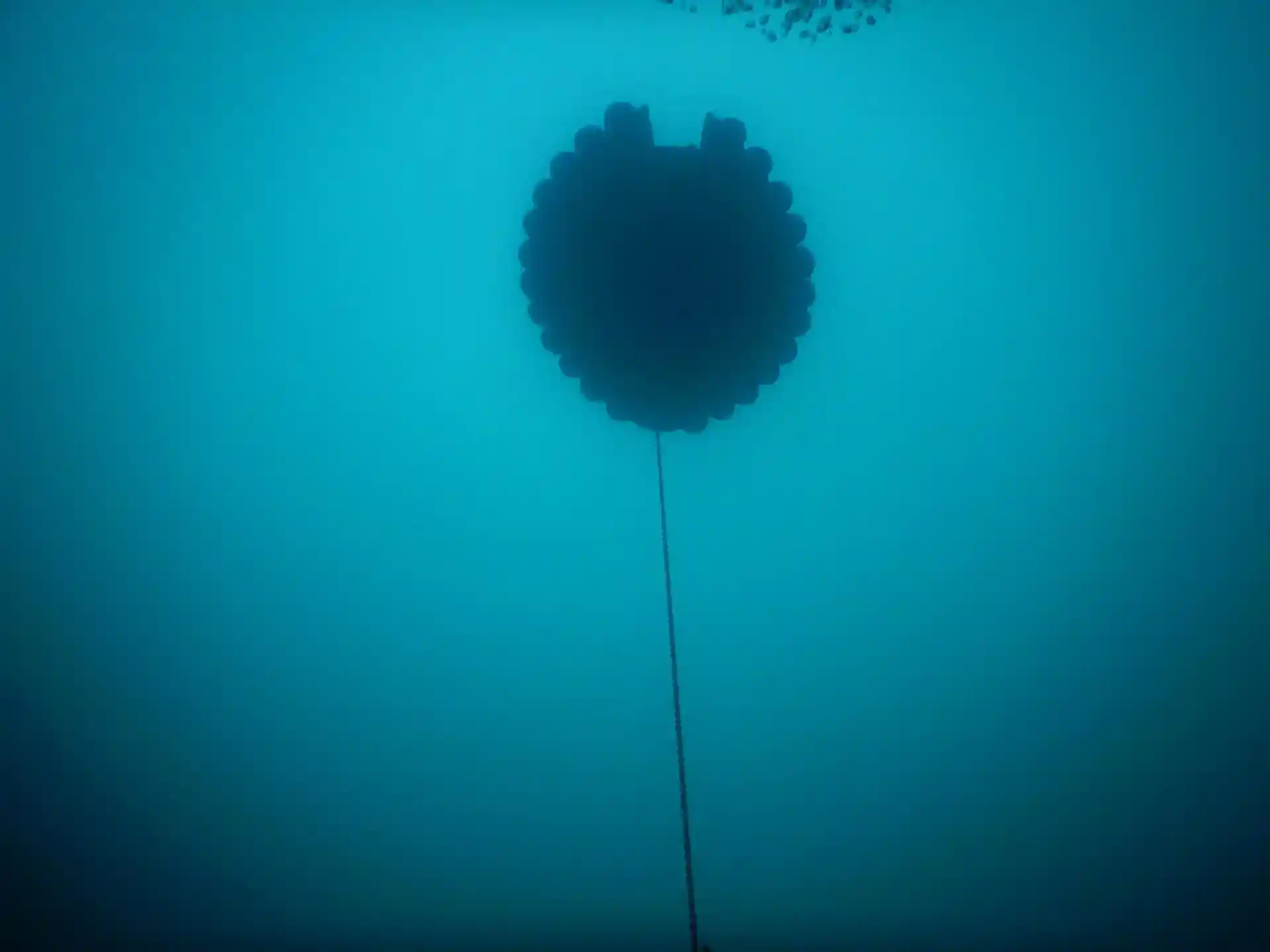 다이빙 포인트 사진