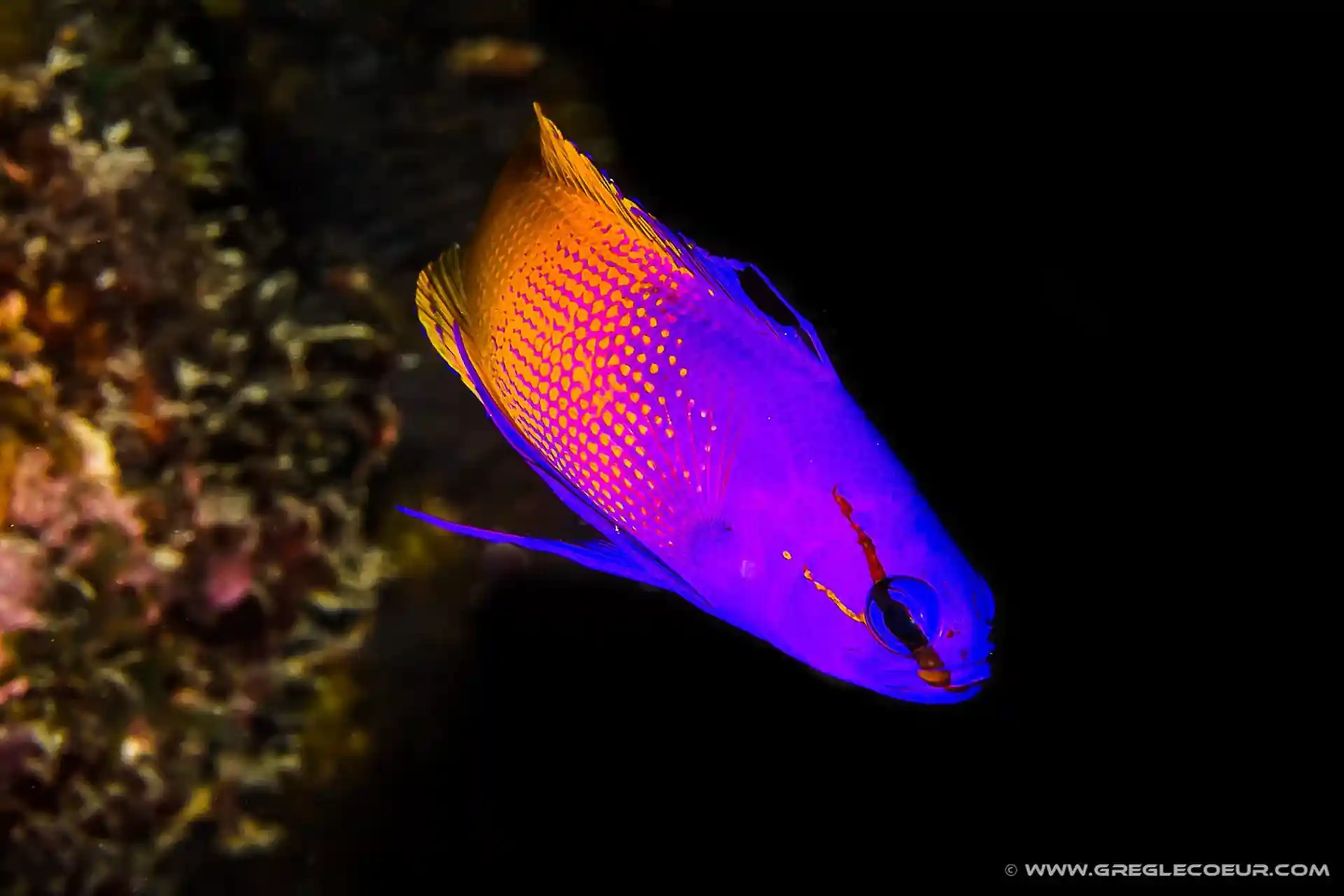 Dive shop photo