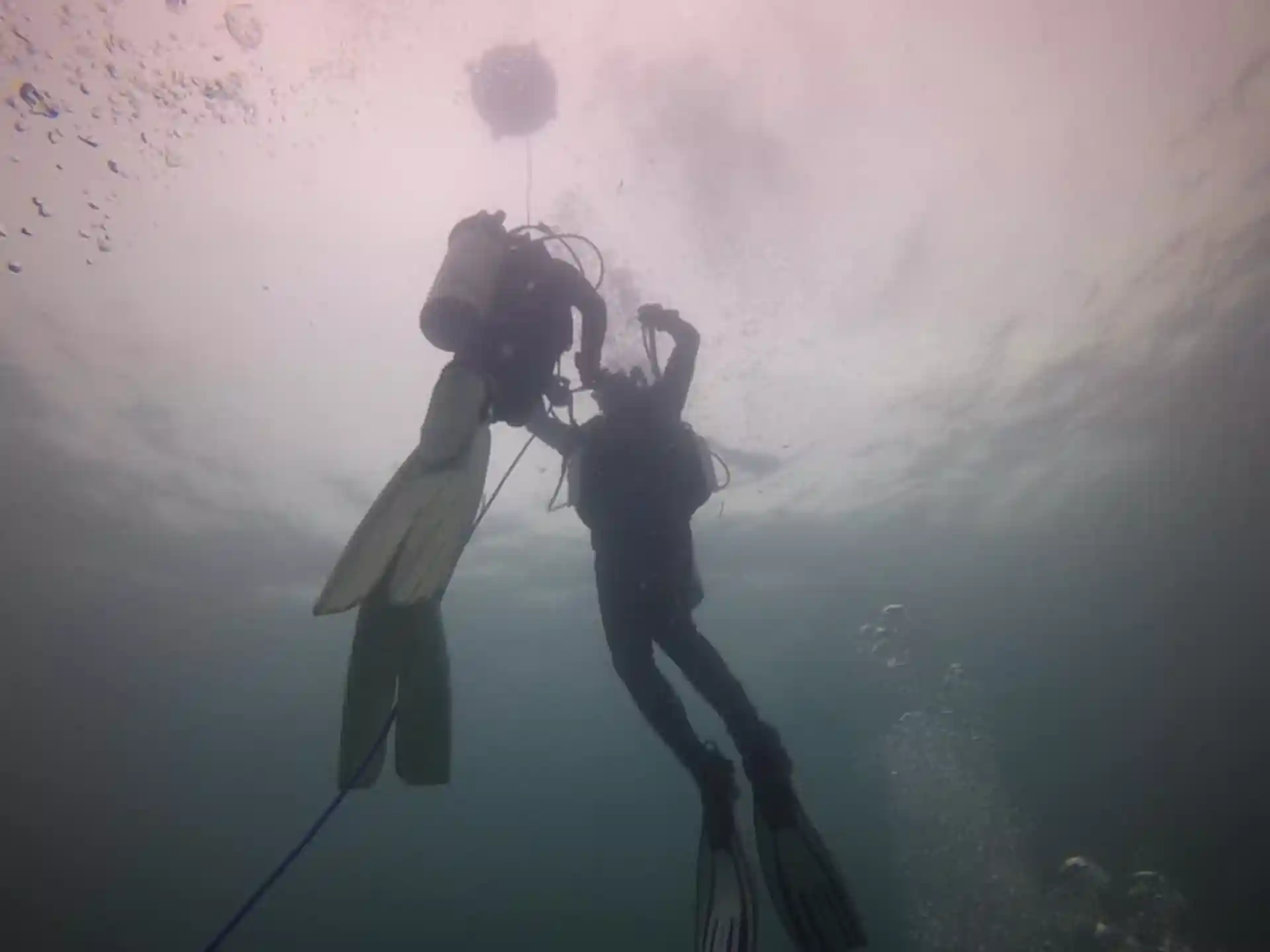 ダイビングサイトの写真