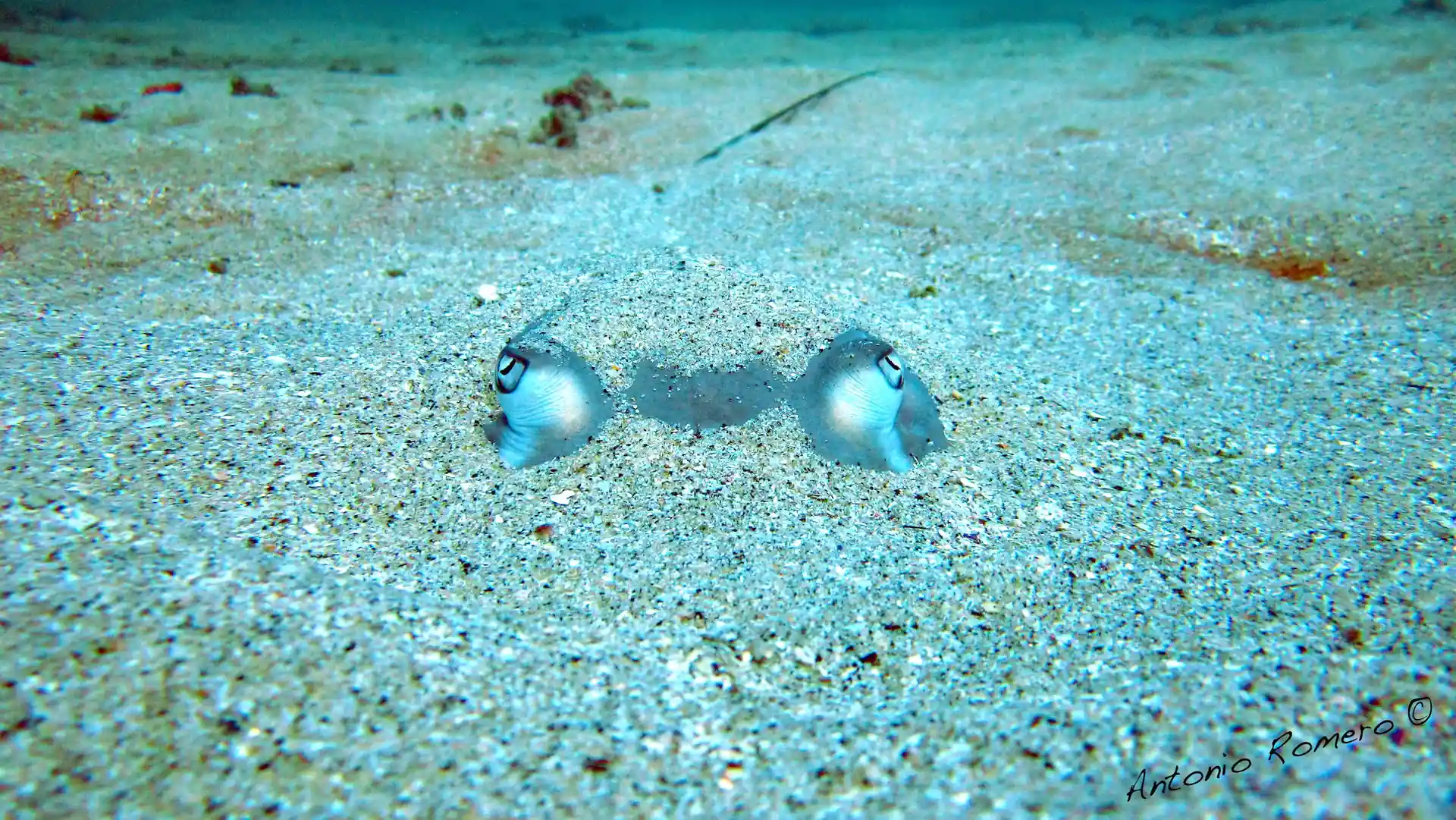 Dive shop photo