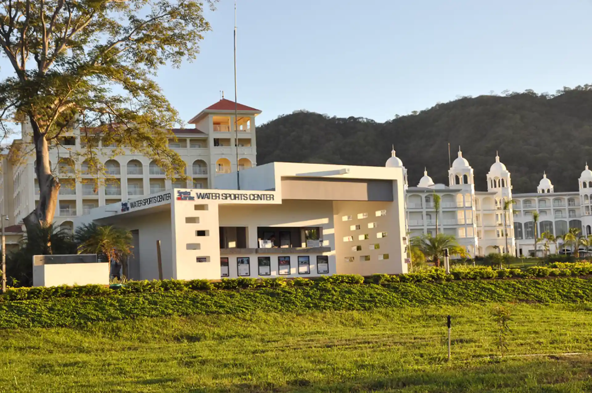 Main photo