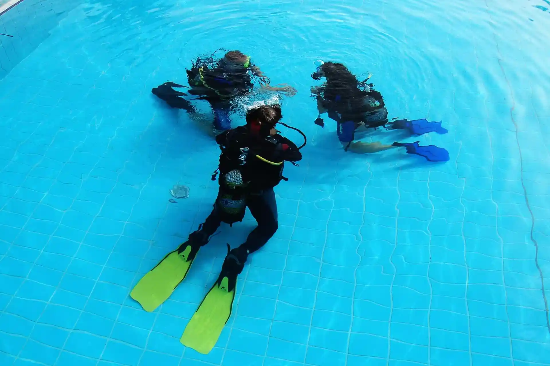 Join the privileged few and explore the underwater realm!

Take your scuba diving course and get your PADI Open Water diving license. It last you a lifetime and you will discover a whole new world below the sea. This is only the beginning!