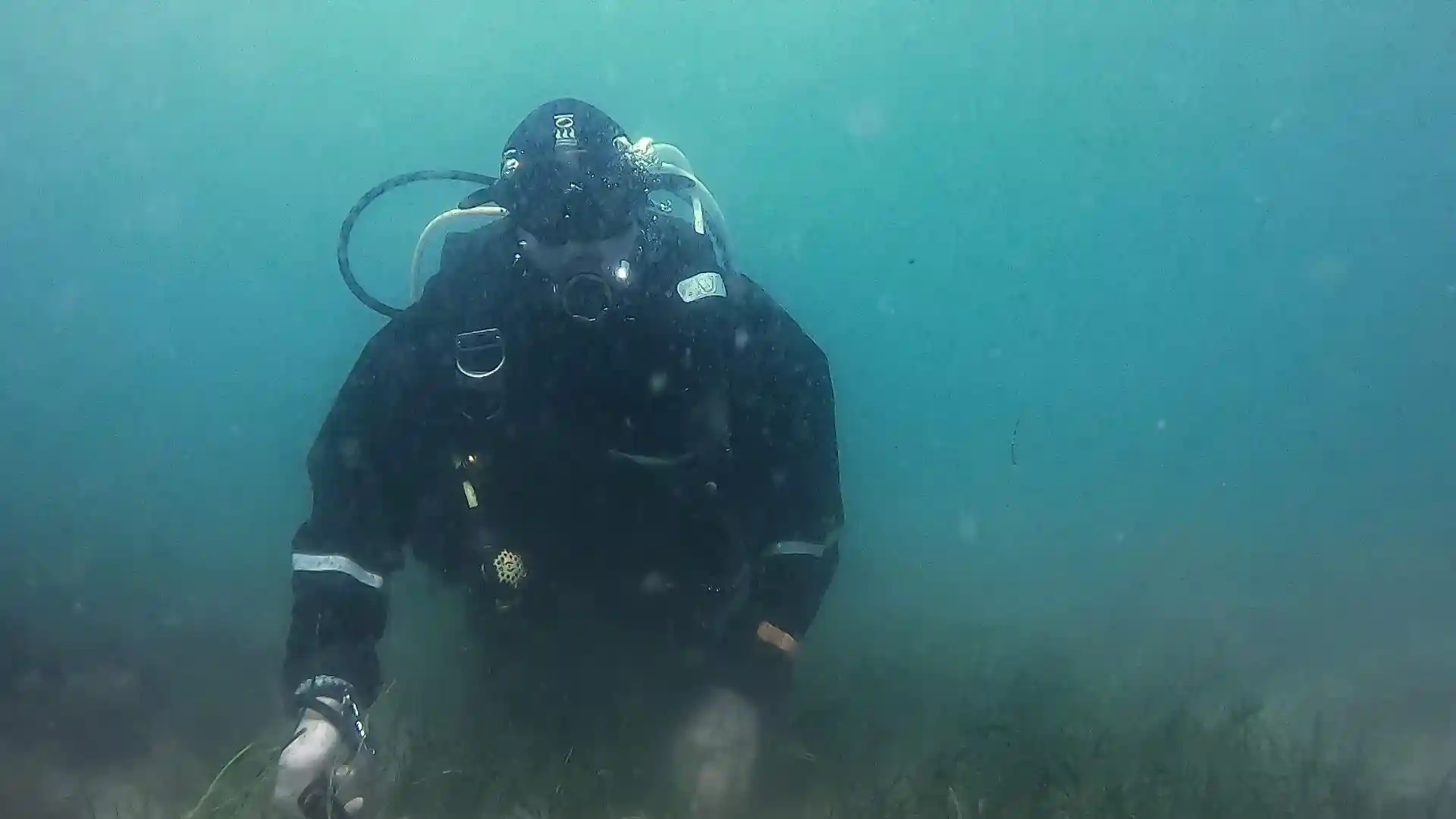 Dive shop photo