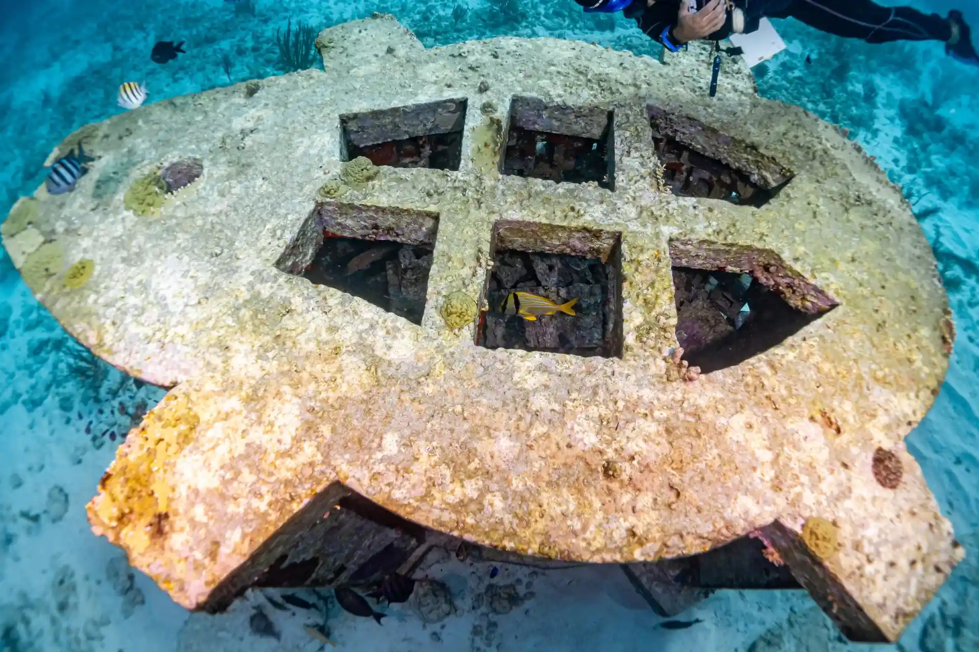 Dive site photo