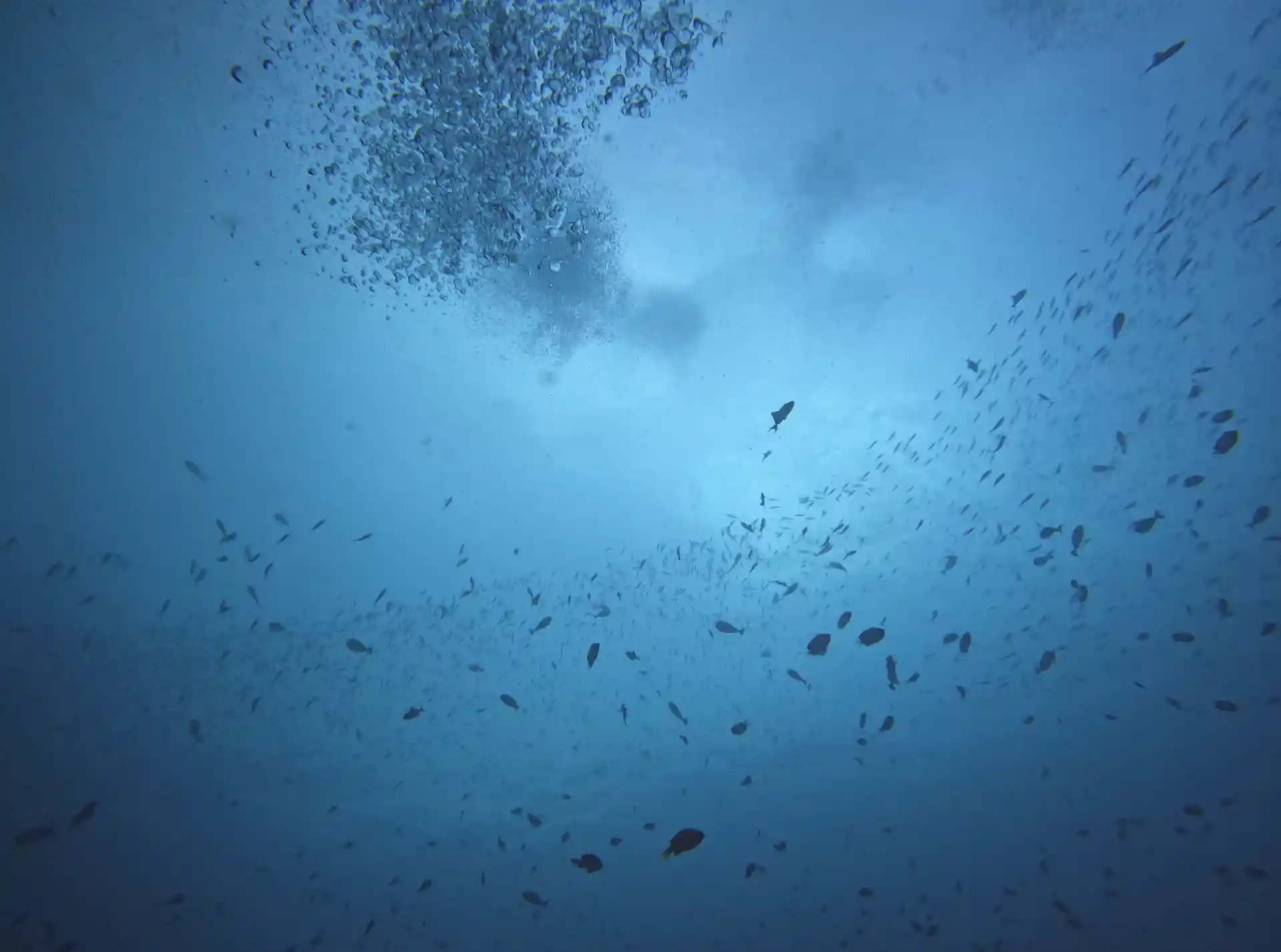 Photo du site de plongée