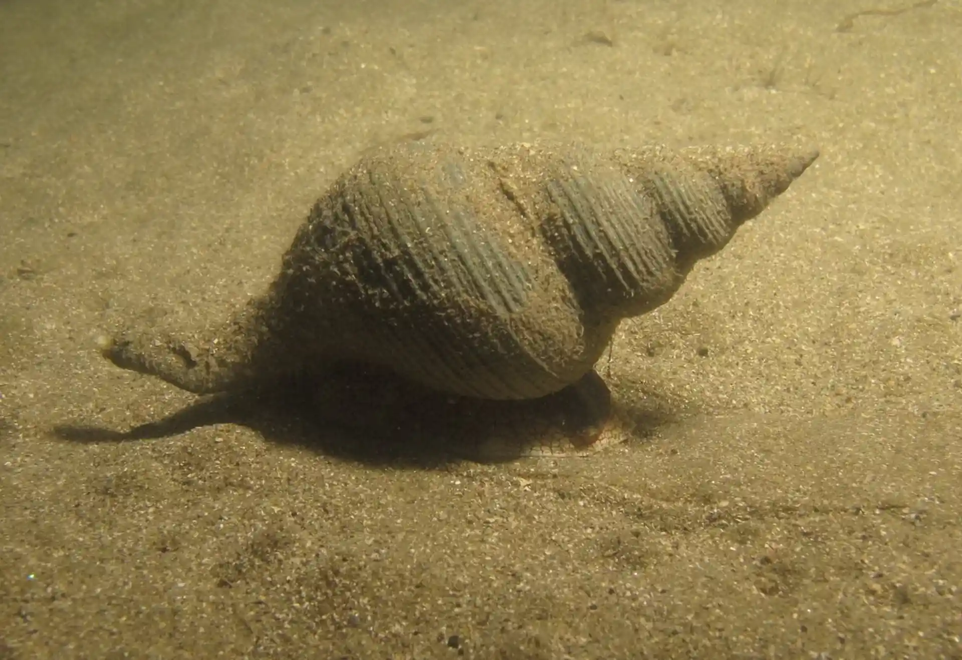 다이빙 포인트 사진