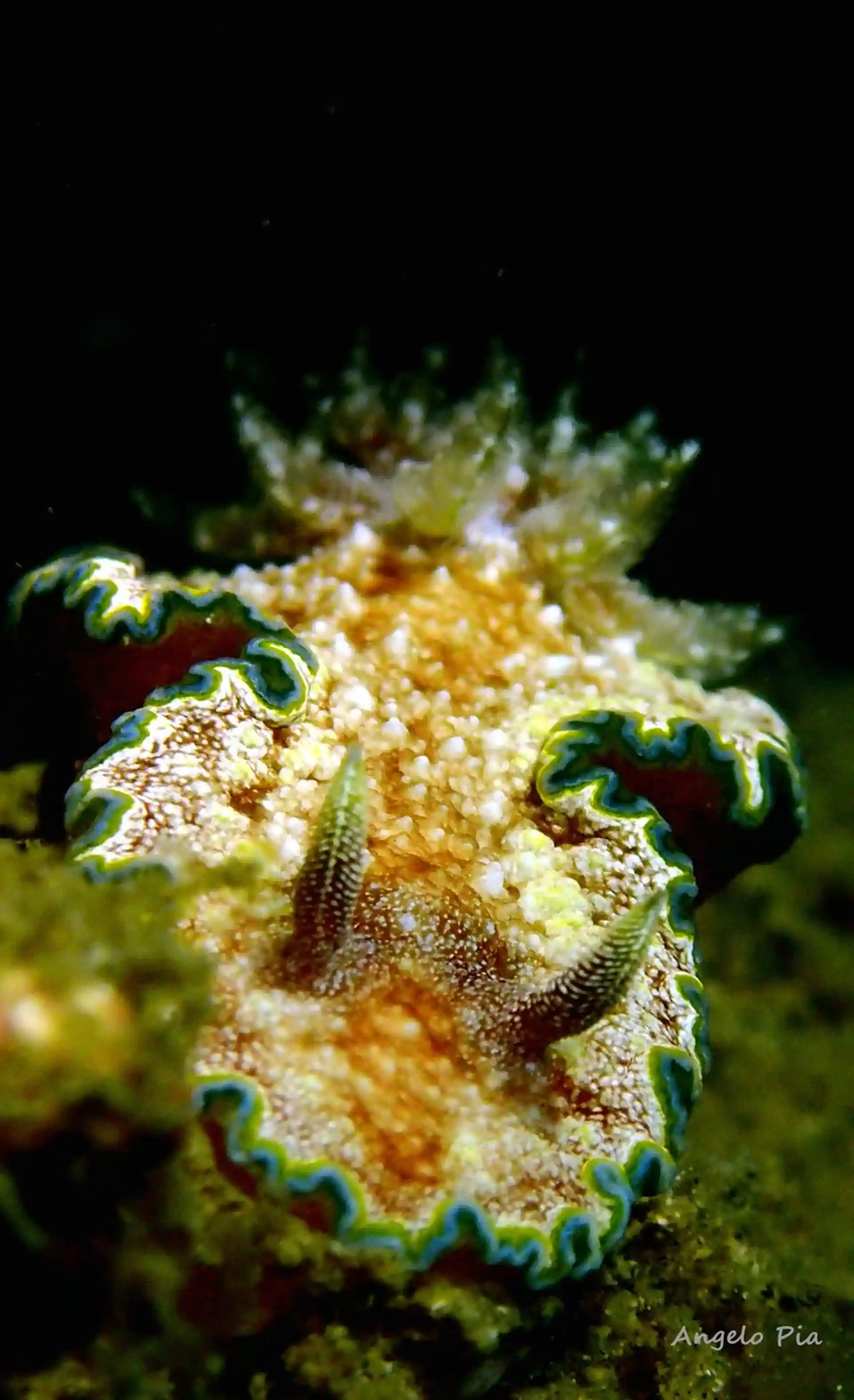 Dive site photo