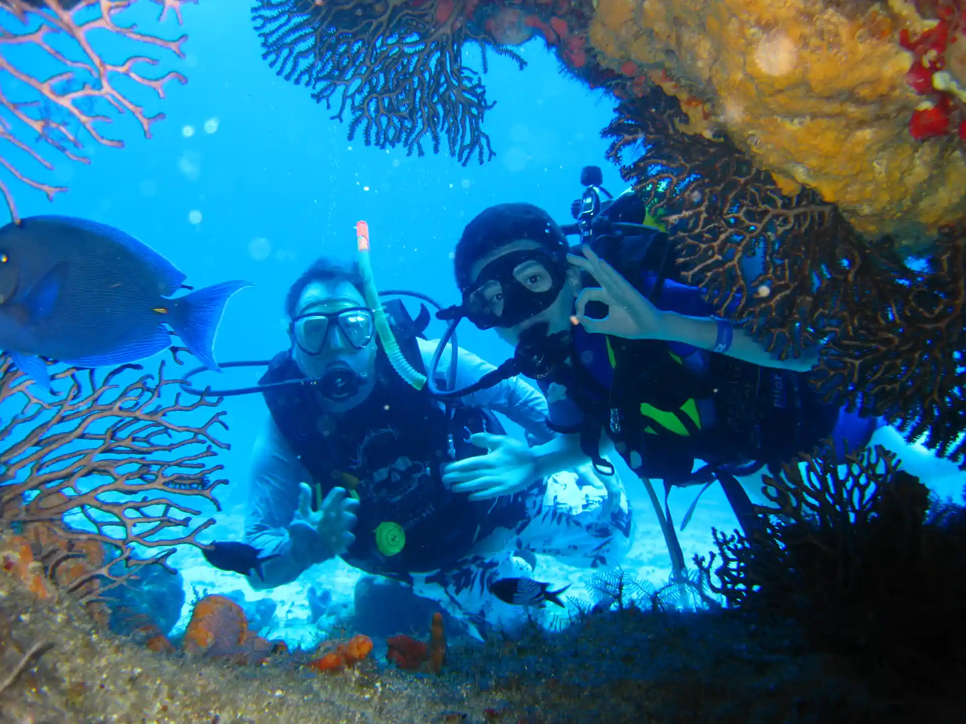 Foto de la actividad