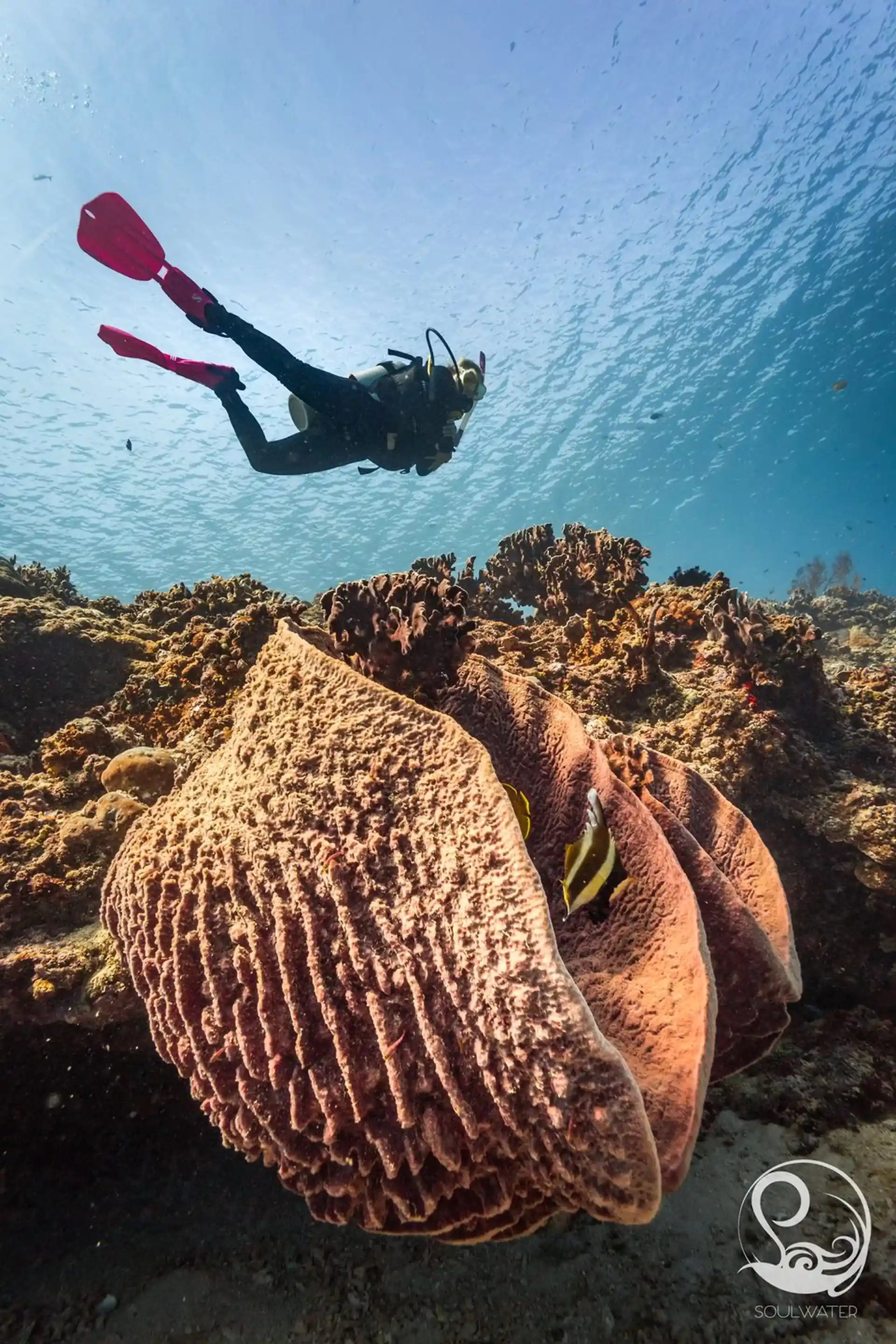 Dive site photo
