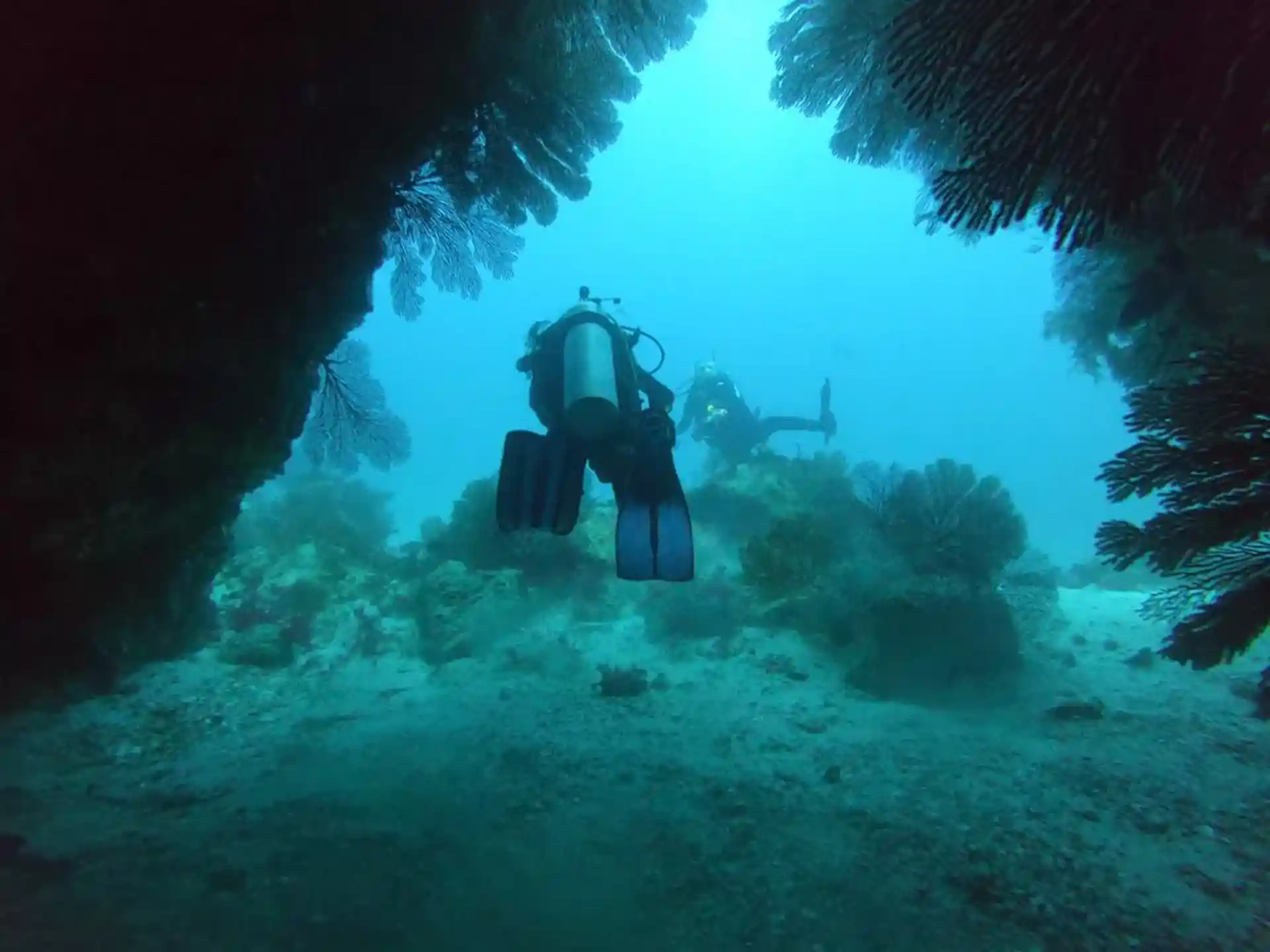 Dive site photo