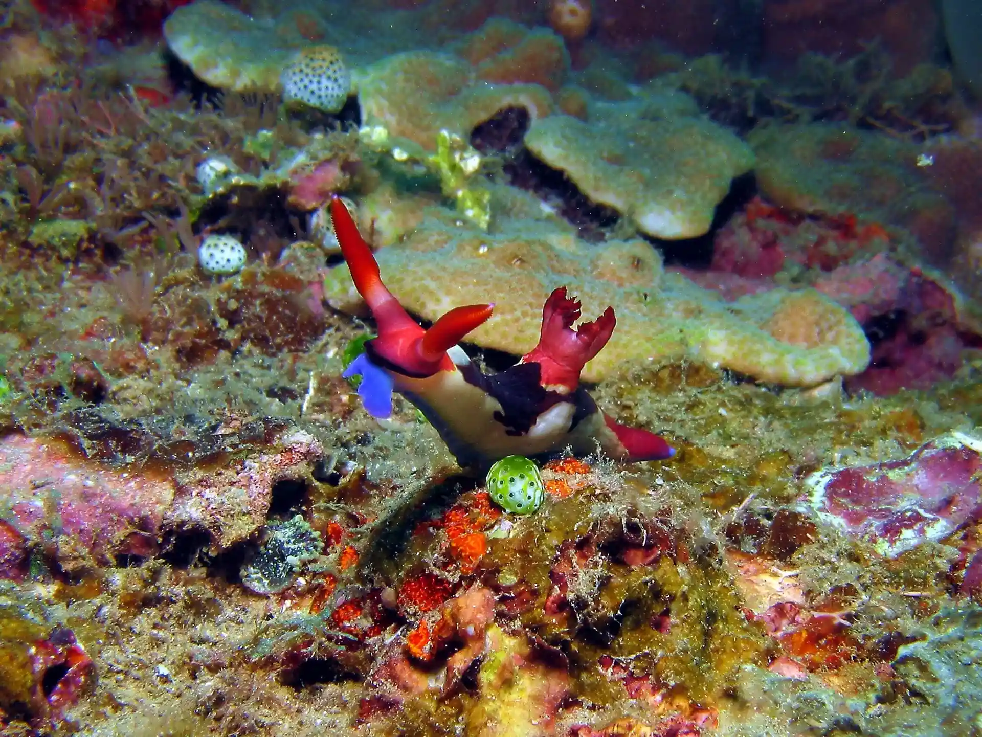 Dive site photo