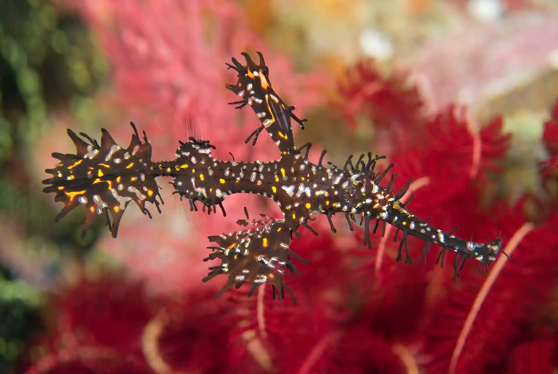 Foto des Tauchplatzes