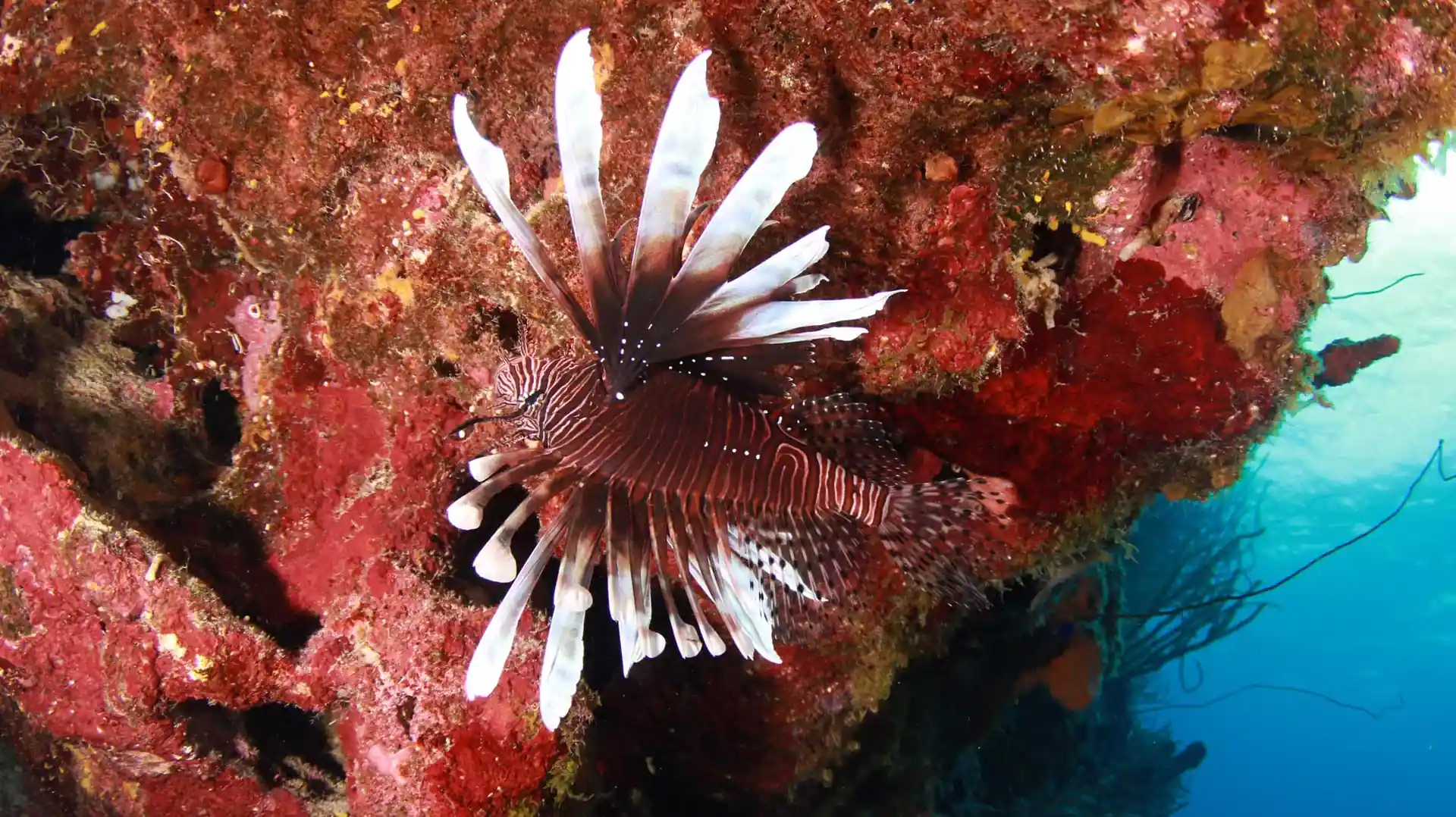Dive site photo