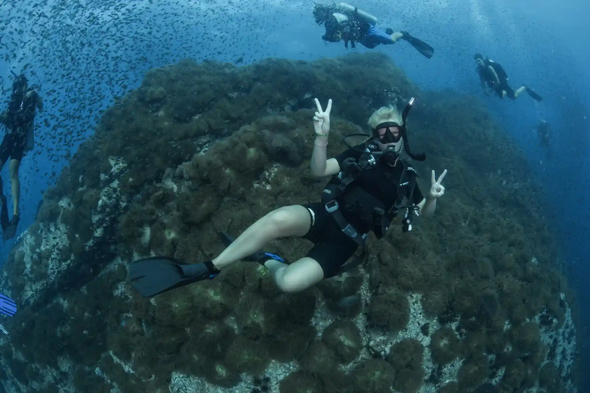 Photo de l'activité