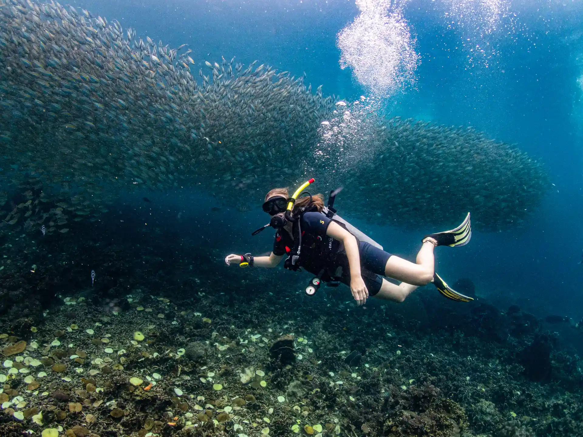 Like swimming in an aquarium!