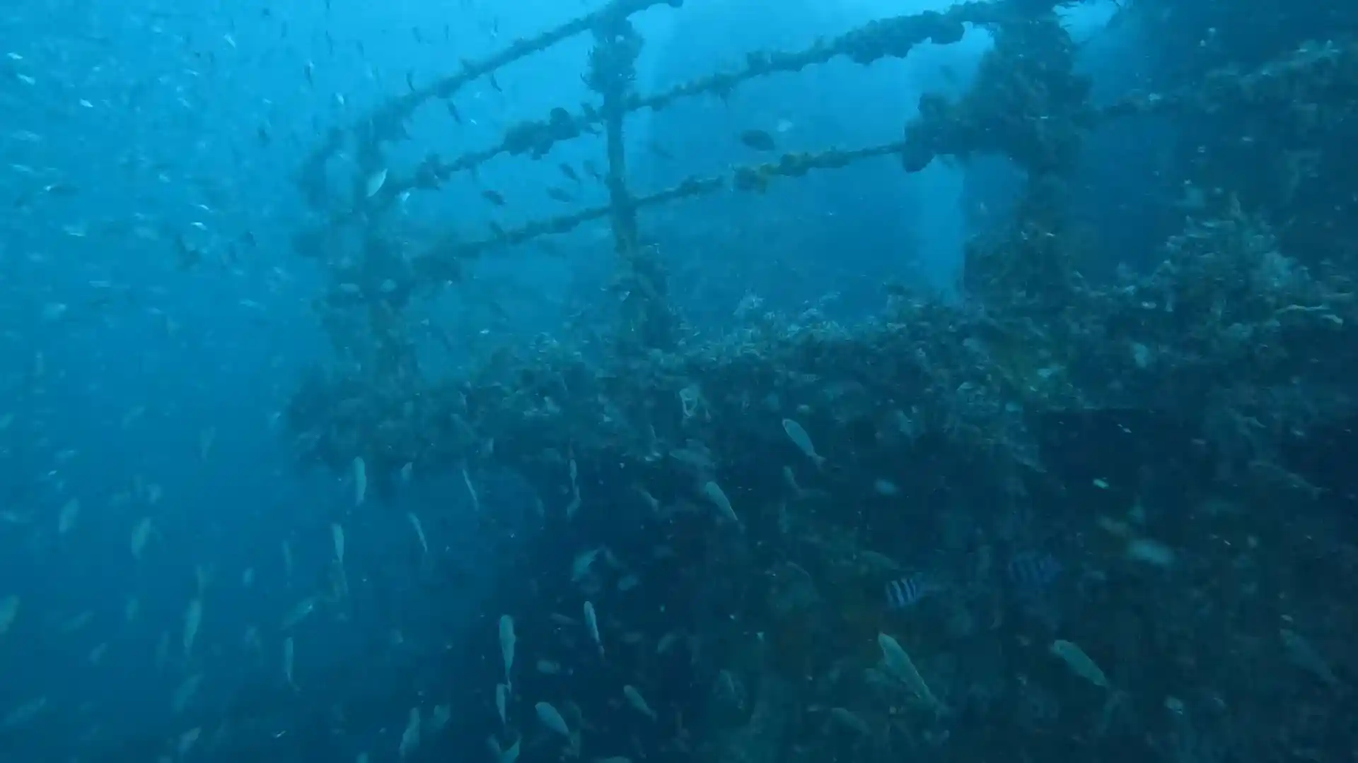Dive site photo
