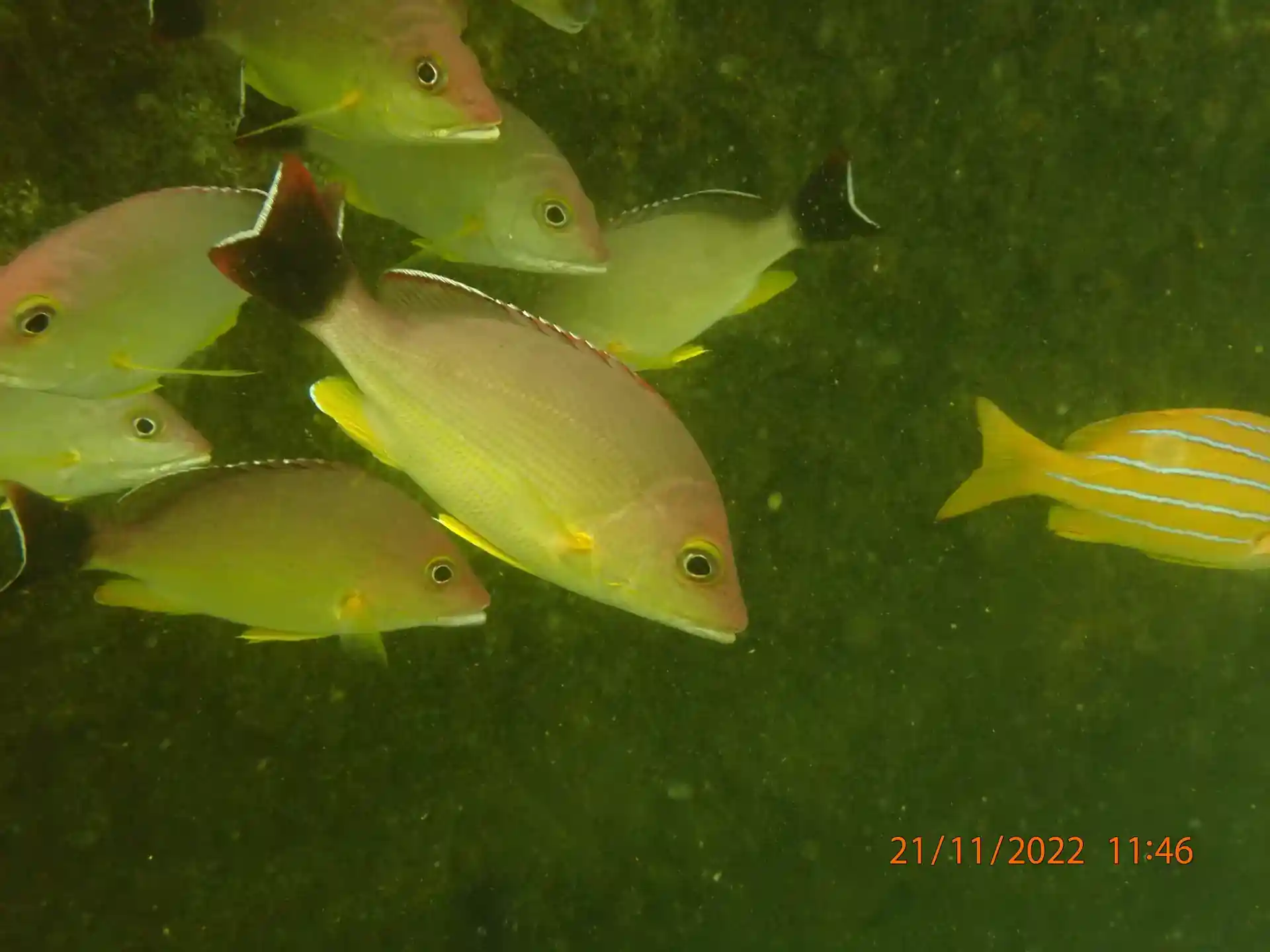 Dive site photo