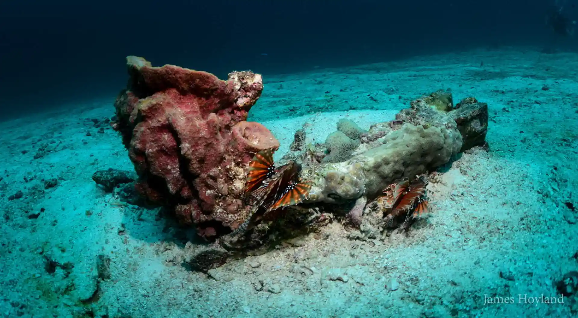 Dive site photo