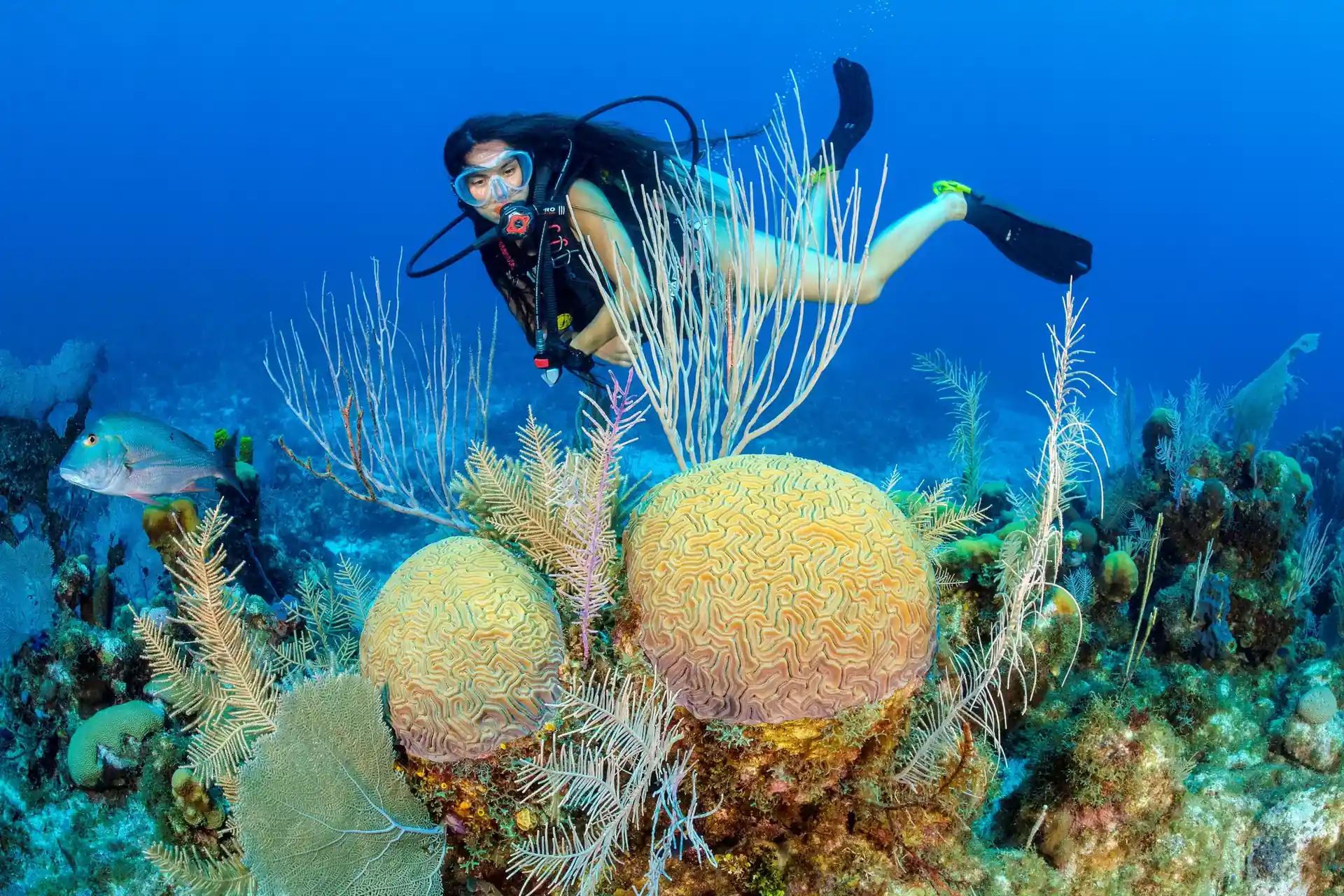 Dive site photo