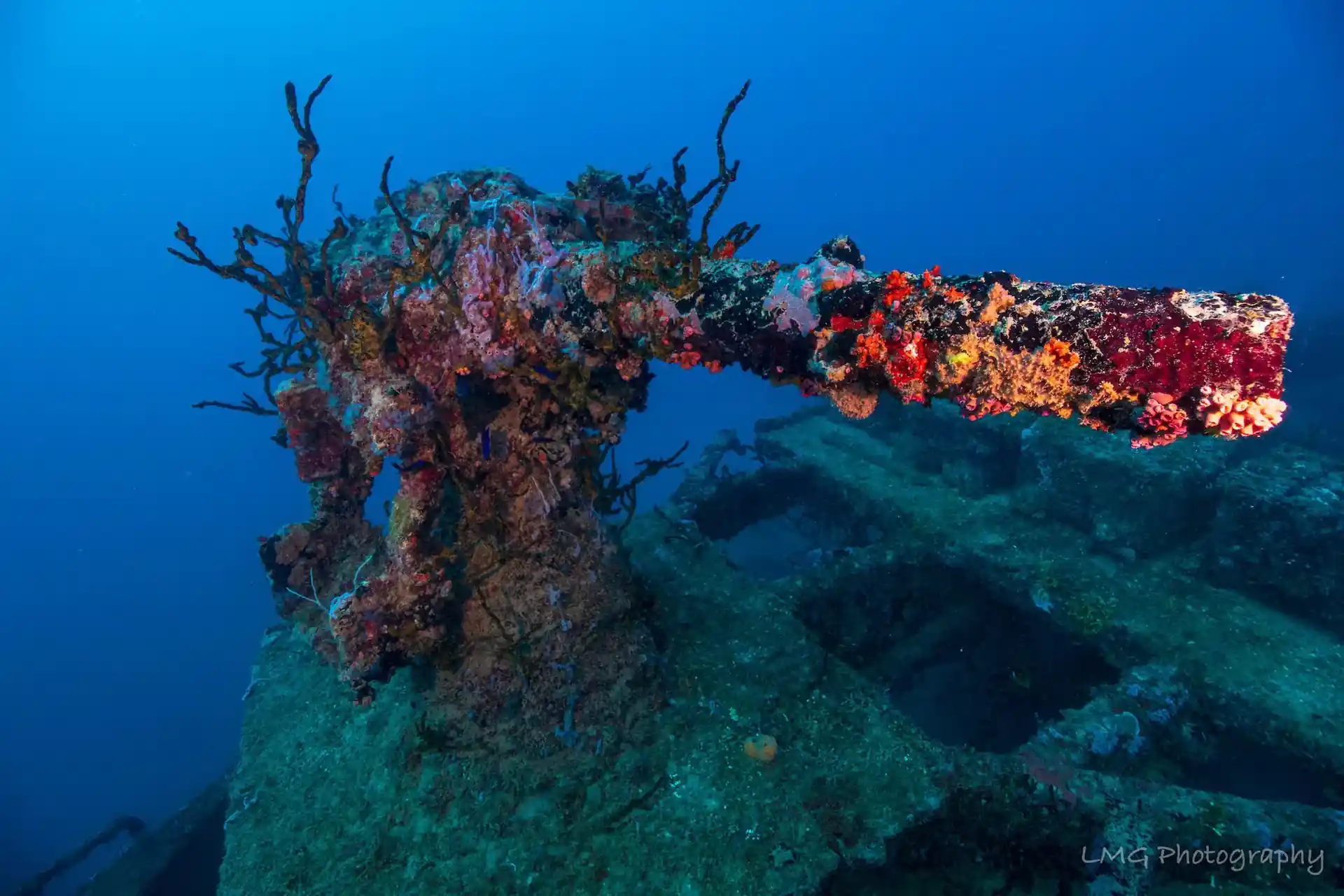 Photo du site de plongée