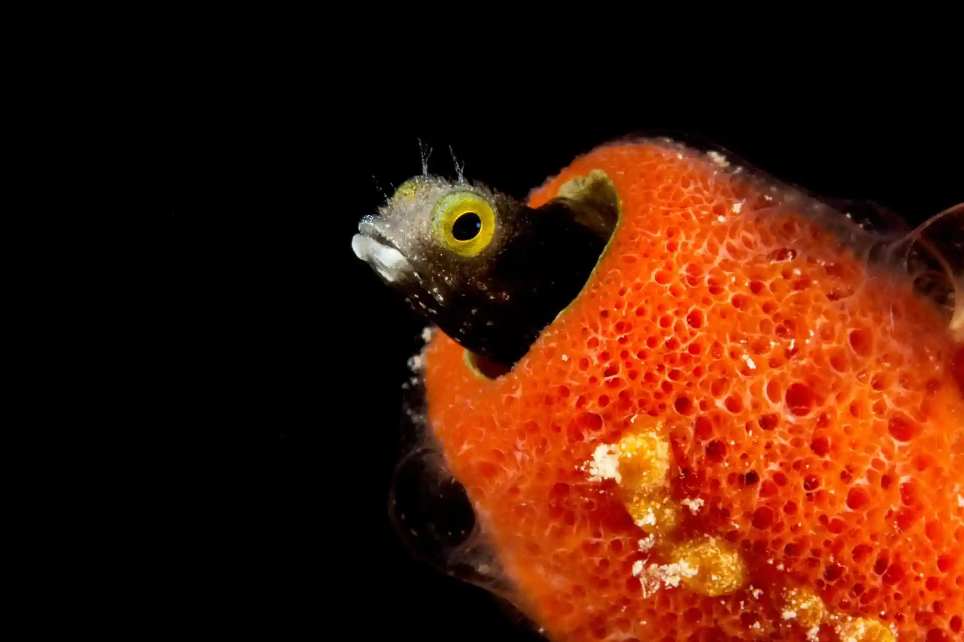 Dive shop photo