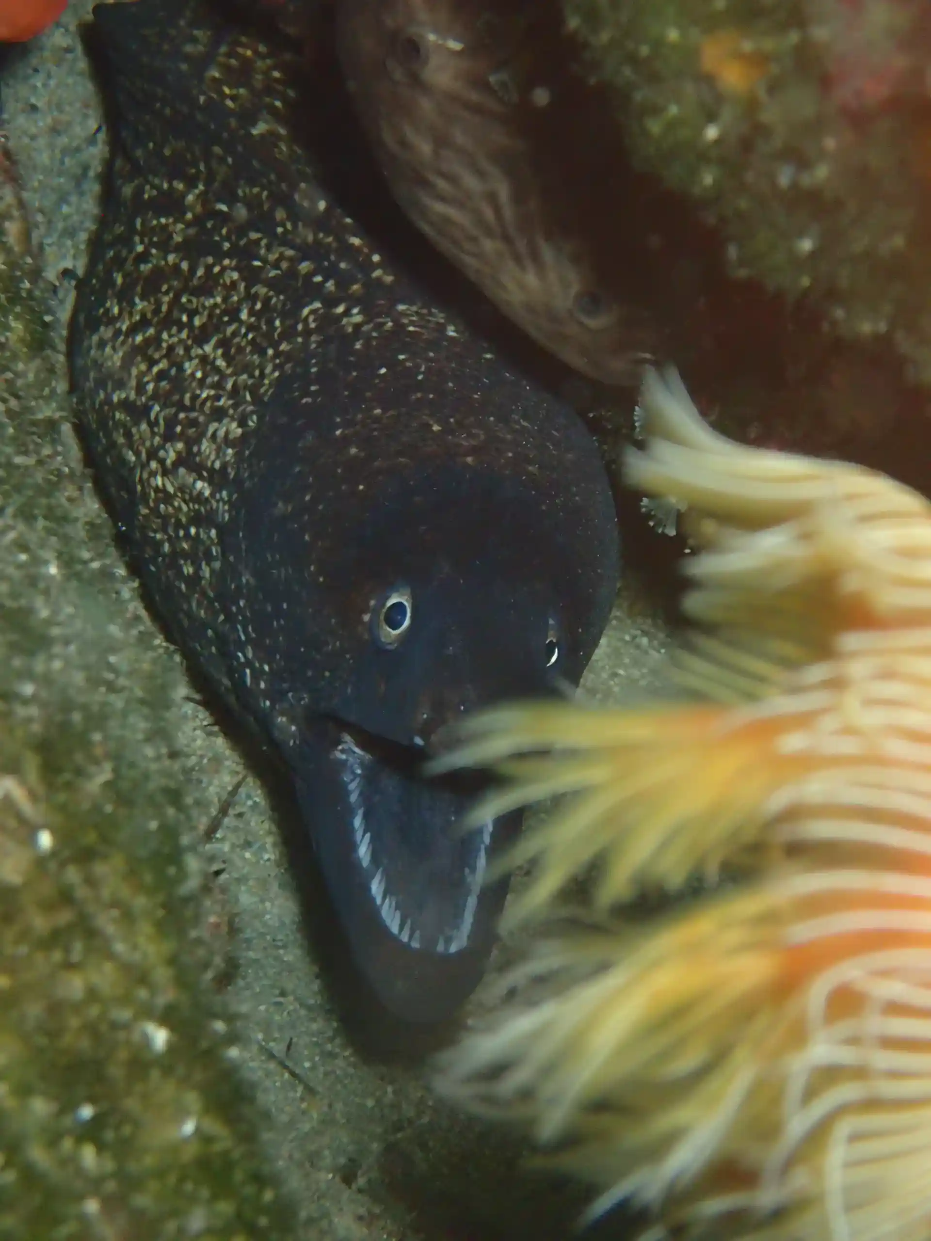 Dive site photo